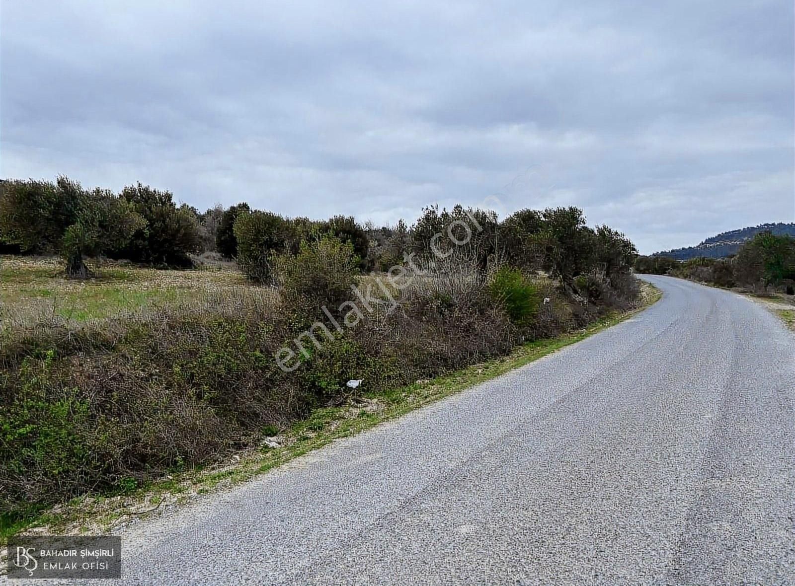 B.ş.den Yatağanda Asfalt Yola Cepheli 50950 M2 Satılık Zeytinlik - Görsel 16