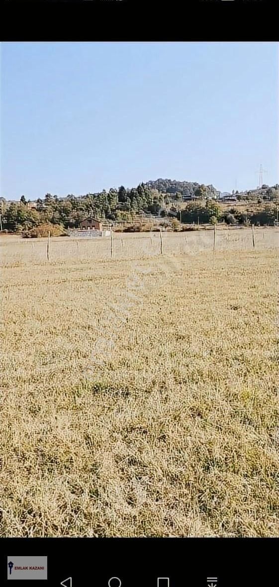 Şile Geredeli'de İmar Sınırına Yakın Arsa - Görsel 3