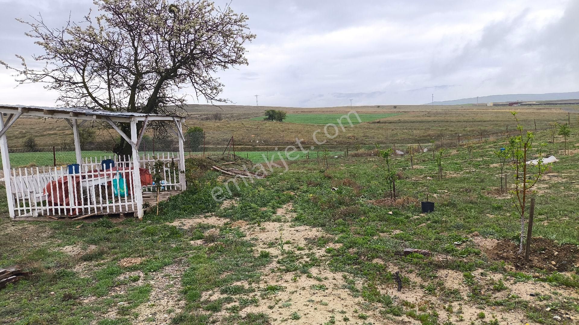 Redstone İdol Gayrimenkulden Osb'ye Sınır Yatırımlık Tarla - Görsel 10