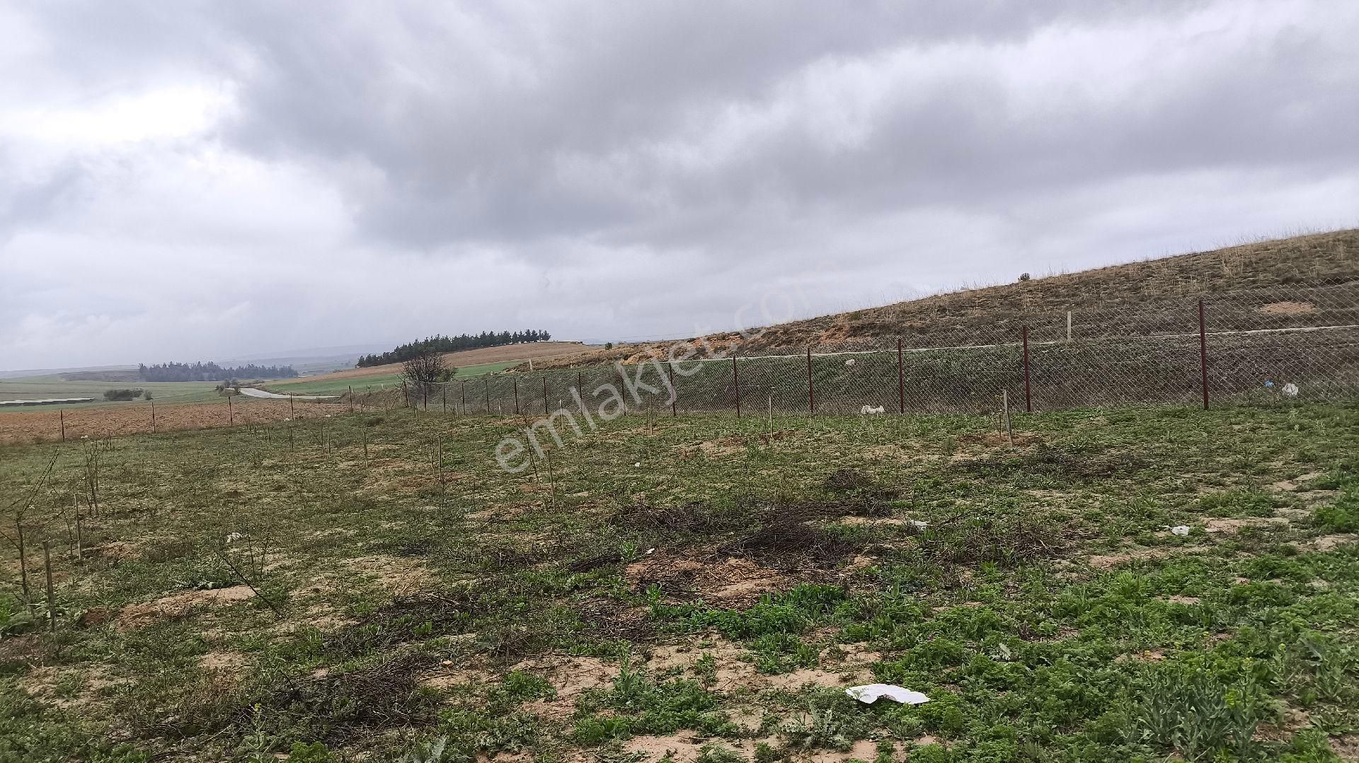 Redstone İdol Gayrimenkulden Osb'ye Sınır Yatırımlık Tarla - Görsel 12