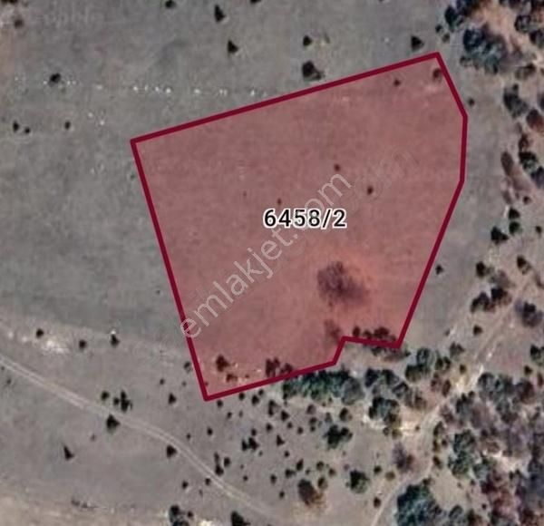 Asel'den H.azizler Villalık Orman 5972 M2'hisse 2414 M2 Satılık