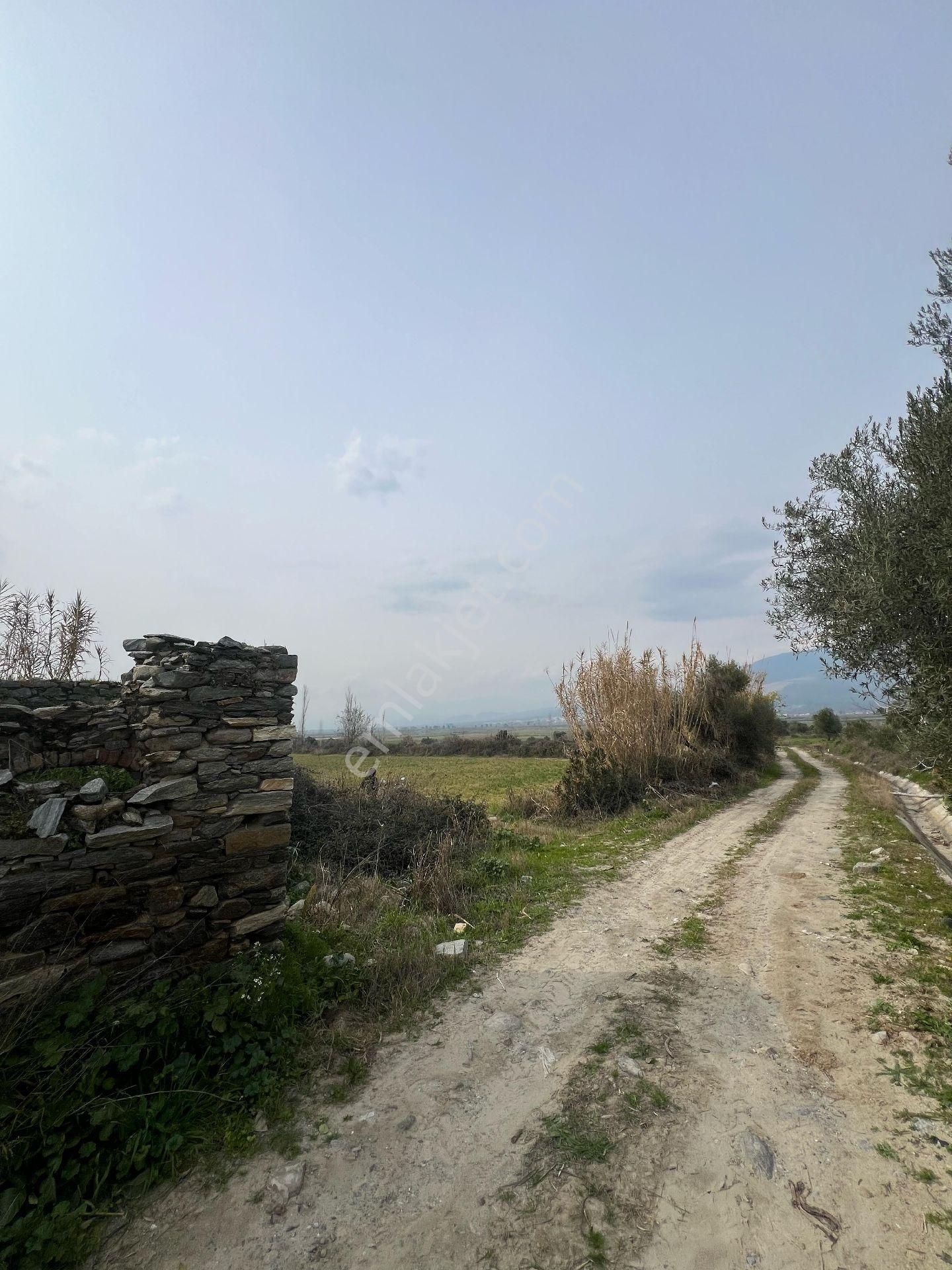 Kuyucak Karapınarda 17300 Metre Bahçe - Görsel 13