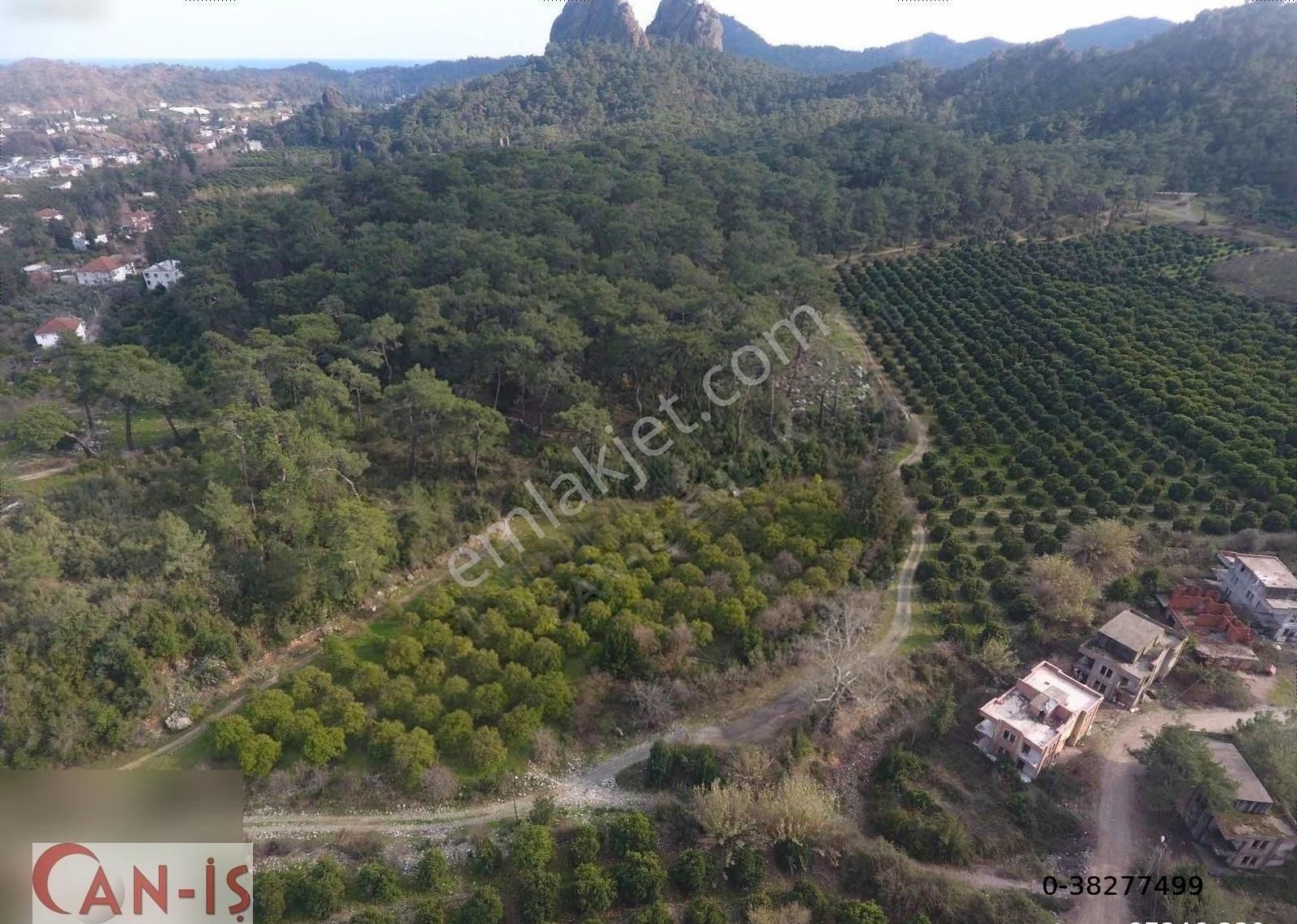 Kuzderede 5.611 M2 Müstakil Tapulu Tarla Can-iş Emlak - Görsel 6