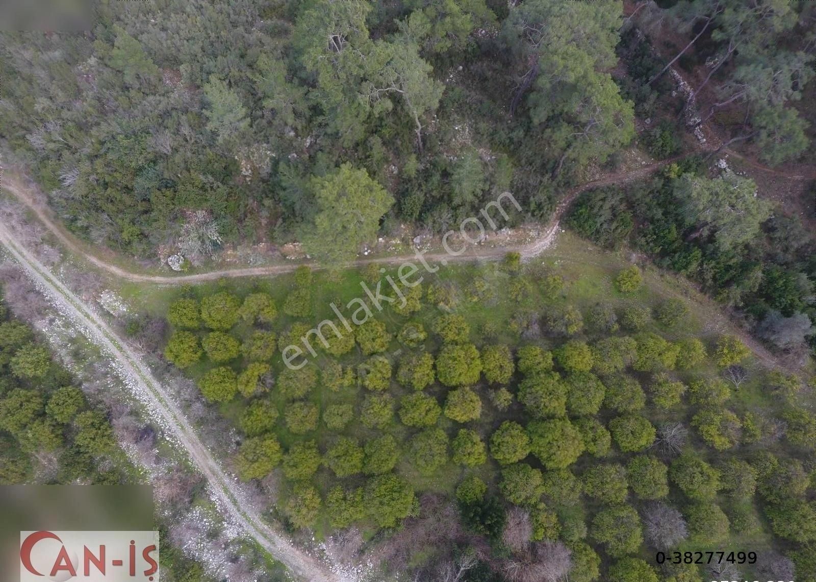 Kuzderede 5.611 M2 Müstakil Tapulu Tarla Can-iş Emlak - Görsel 16