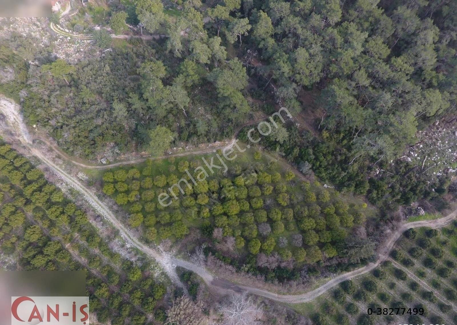 Kuzderede 5.611 M2 Müstakil Tapulu Tarla Can-iş Emlak - Görsel 3