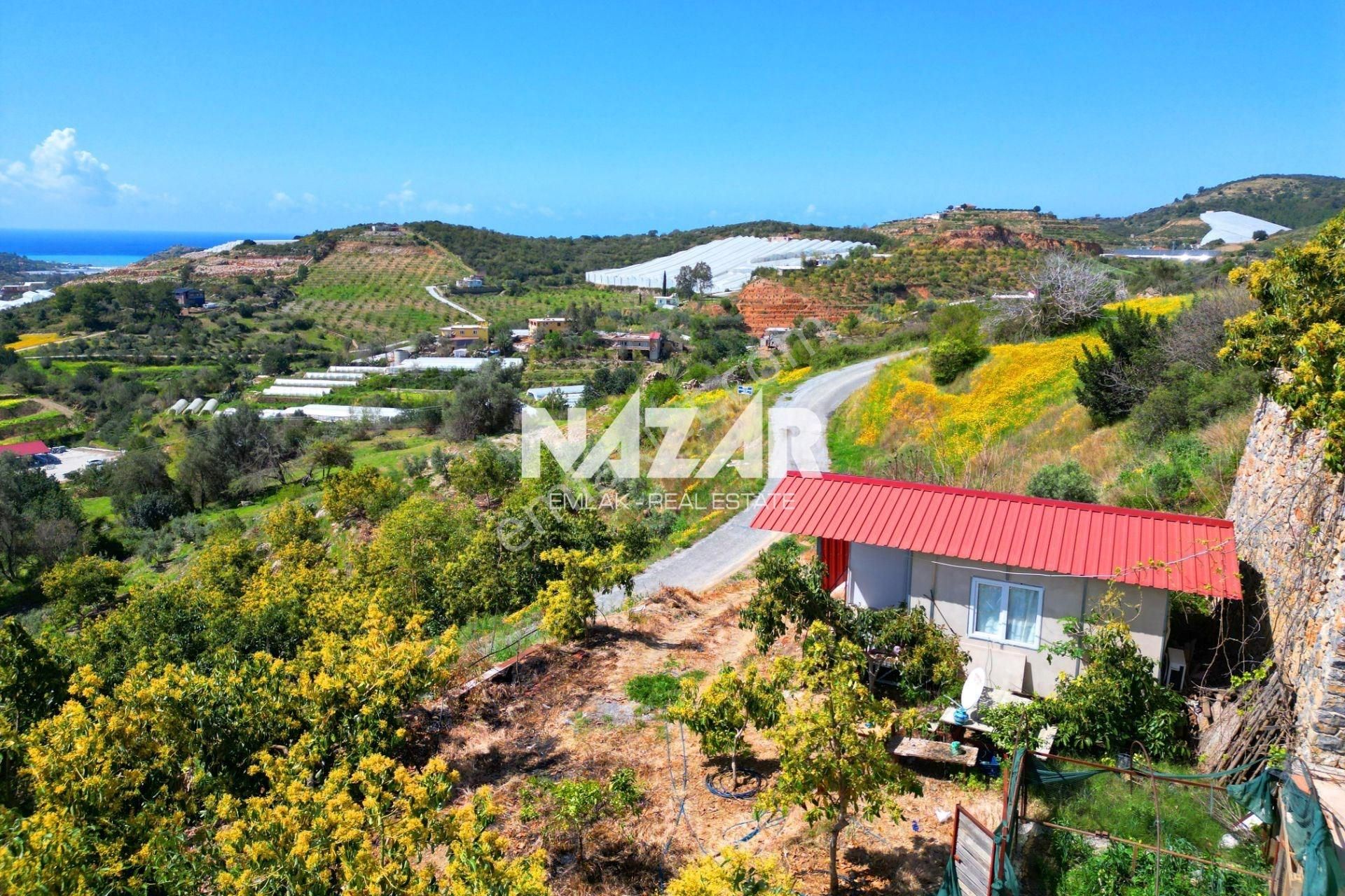 Alanya Yeşilöz’de Satılık 470 M² Tarla Ve Konteyner Ev - Görsel 22