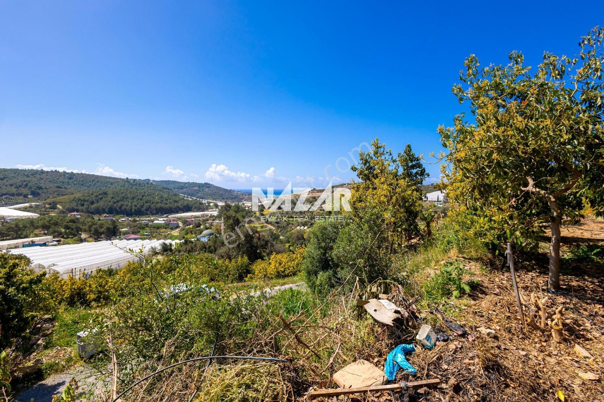 Alanya Yeşilöz’de Satılık 470 M² Tarla Ve Konteyner Ev - Görsel 8