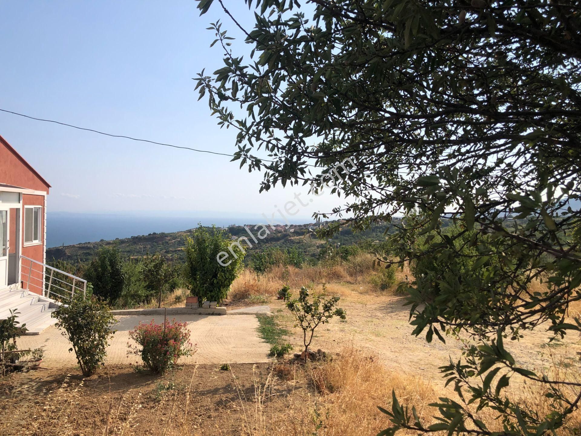 Şarköy De Işık Emlaktan Kirazlı Mah De 1500 M2 0/35 İmarlı Arsa - Görsel 7