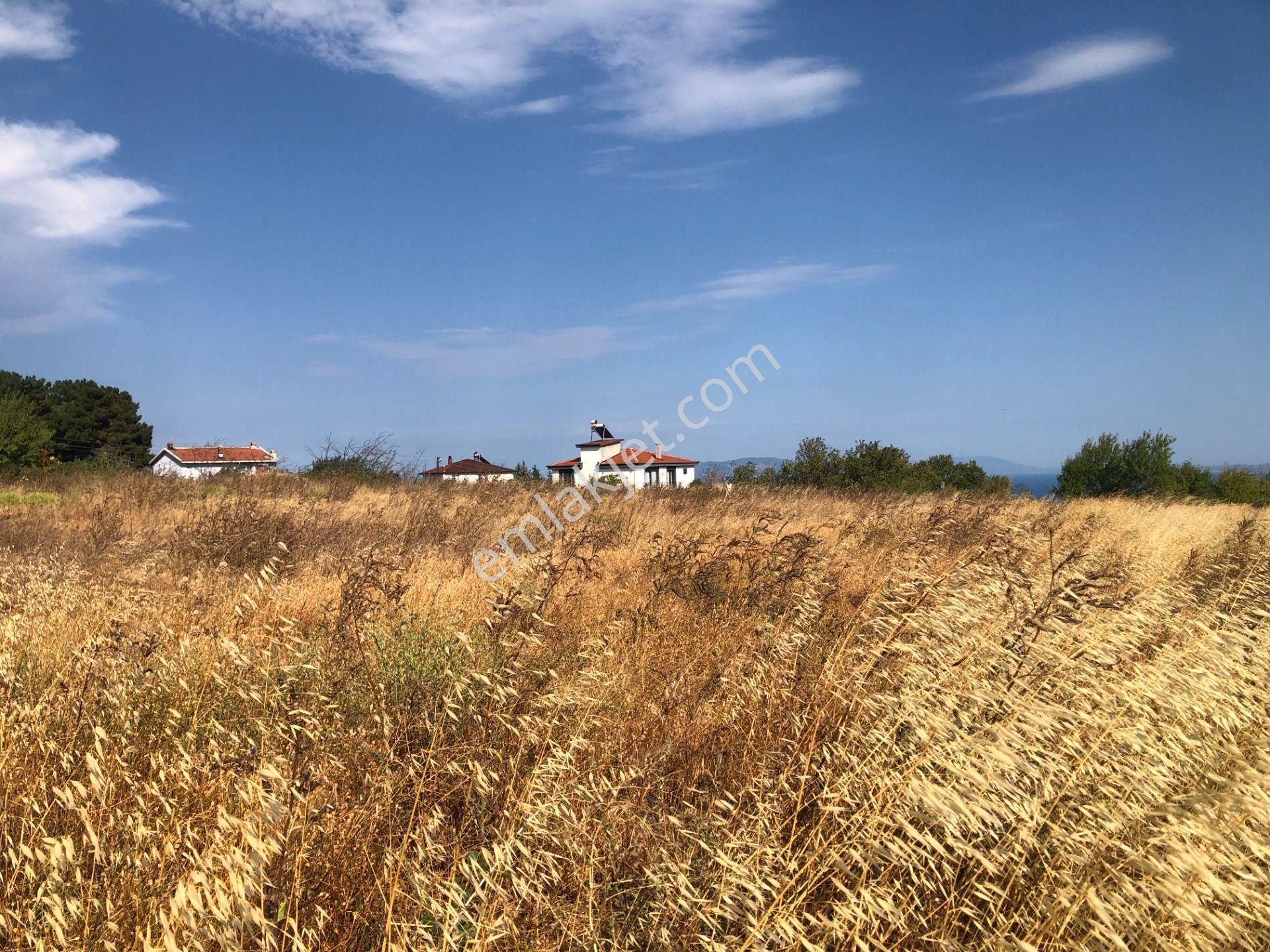 Şarköy De Işık Emlaktan Kirazlı Mah De 1500 M2 0/35 İmarlı Arsa - Görsel 4