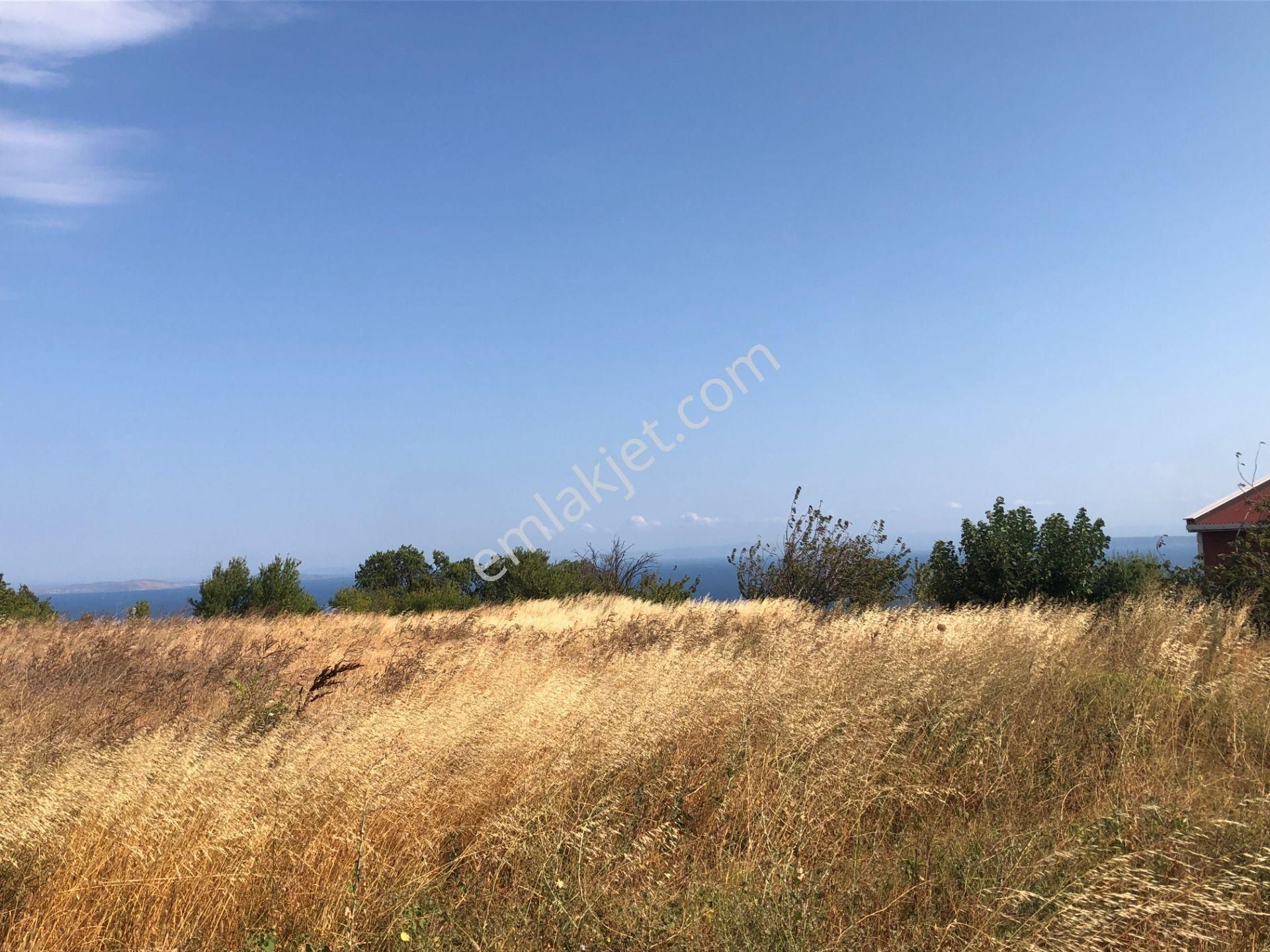 Şarköy De Işık Emlaktan Kirazlı Mah De 1500 M2 0/35 İmarlı Arsa - Görsel 9