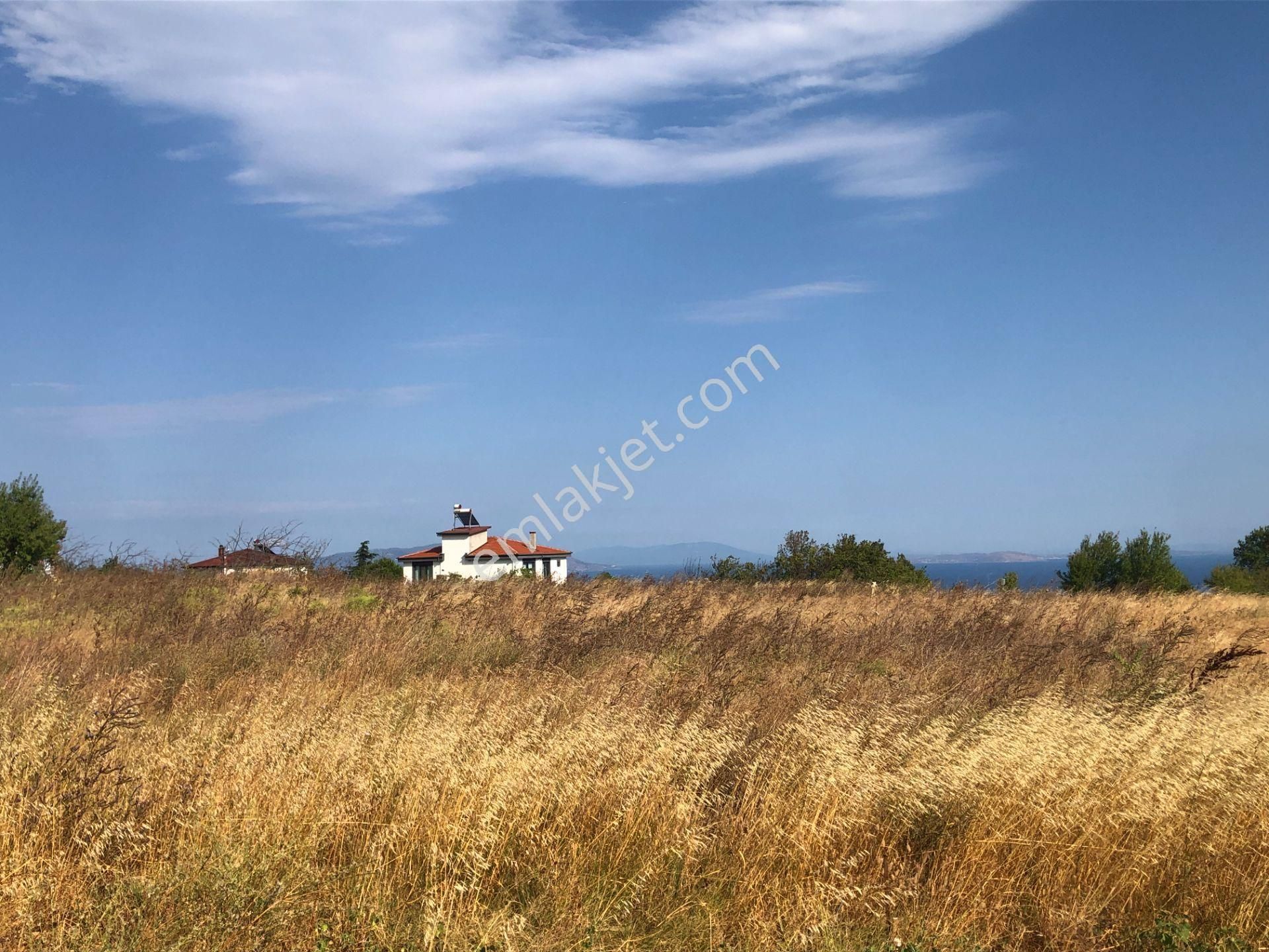 Şarköy De Işık Emlaktan Kirazlı Mah De 1500 M2 0/35 İmarlı Arsa - Görsel 6