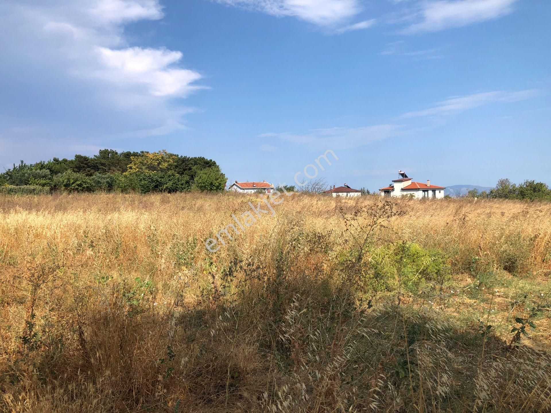 Şarköy De Işık Emlaktan Kirazlı Mah De 1500 M2 0/35 İmarlı Arsa - Görsel 10