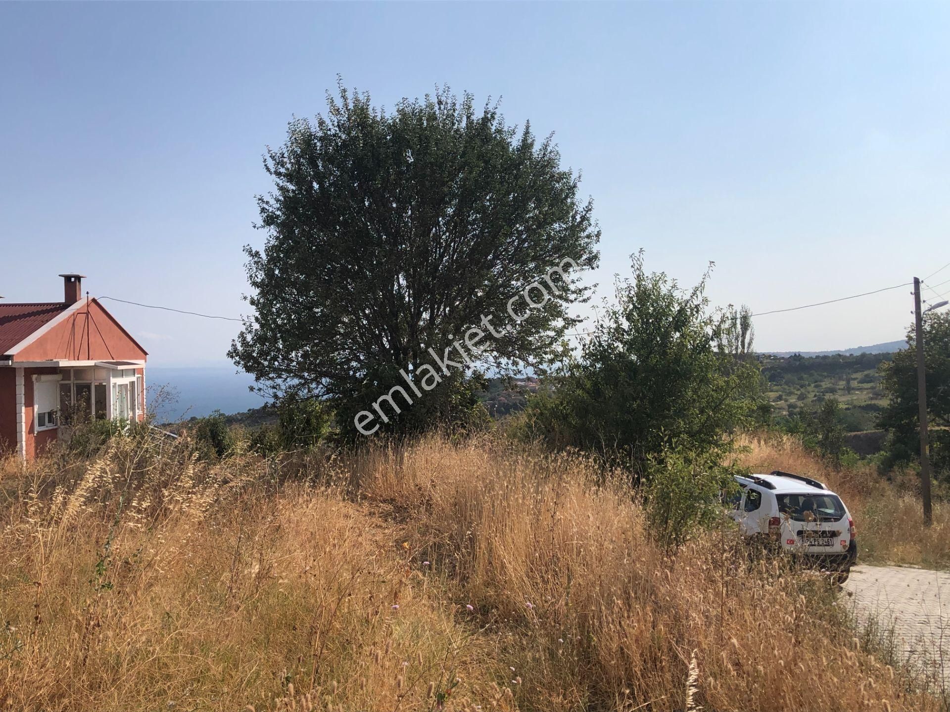 Şarköy De Işık Emlaktan Kirazlı Mah De 1500 M2 0/35 İmarlı Arsa - Görsel 12