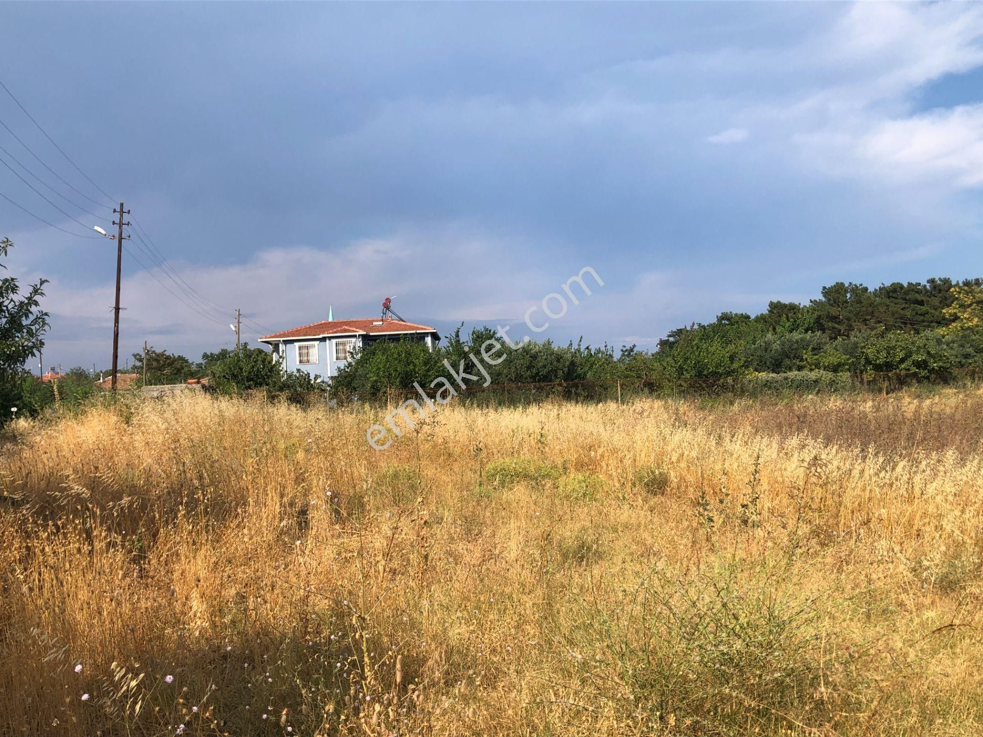 Şarköy De Işık Emlaktan Kirazlı Mah De 1500 M2 0/35 İmarlı Arsa - Görsel 2