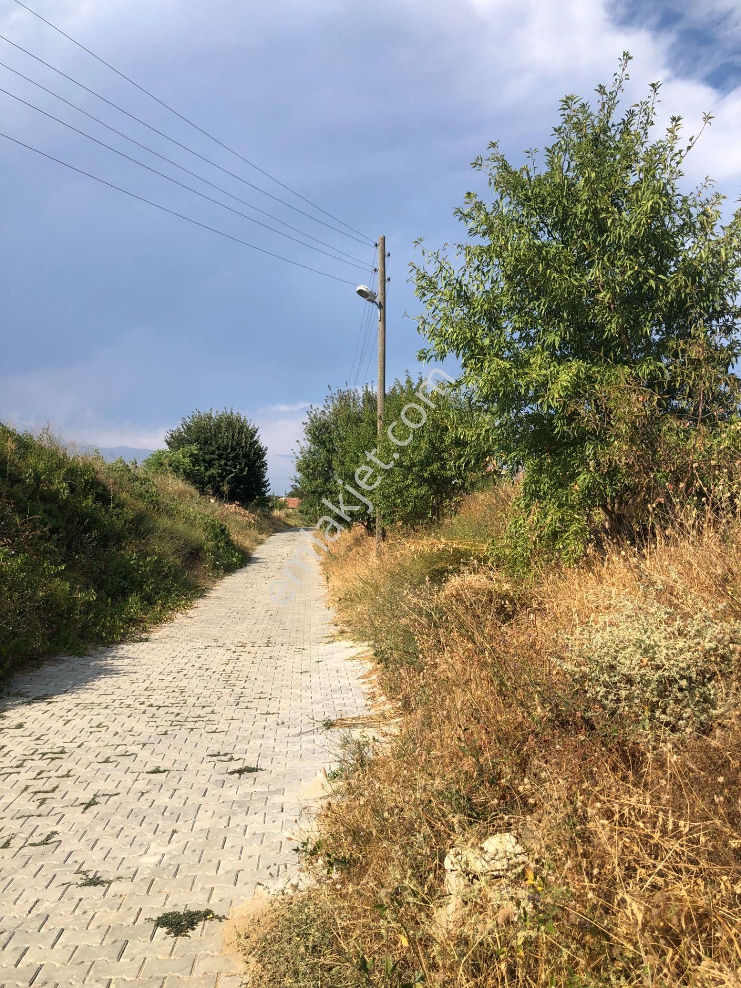 Şarköy De Işık Emlaktan Kirazlı Mah De 1500 M2 0/35 İmarlı Arsa - Görsel 13