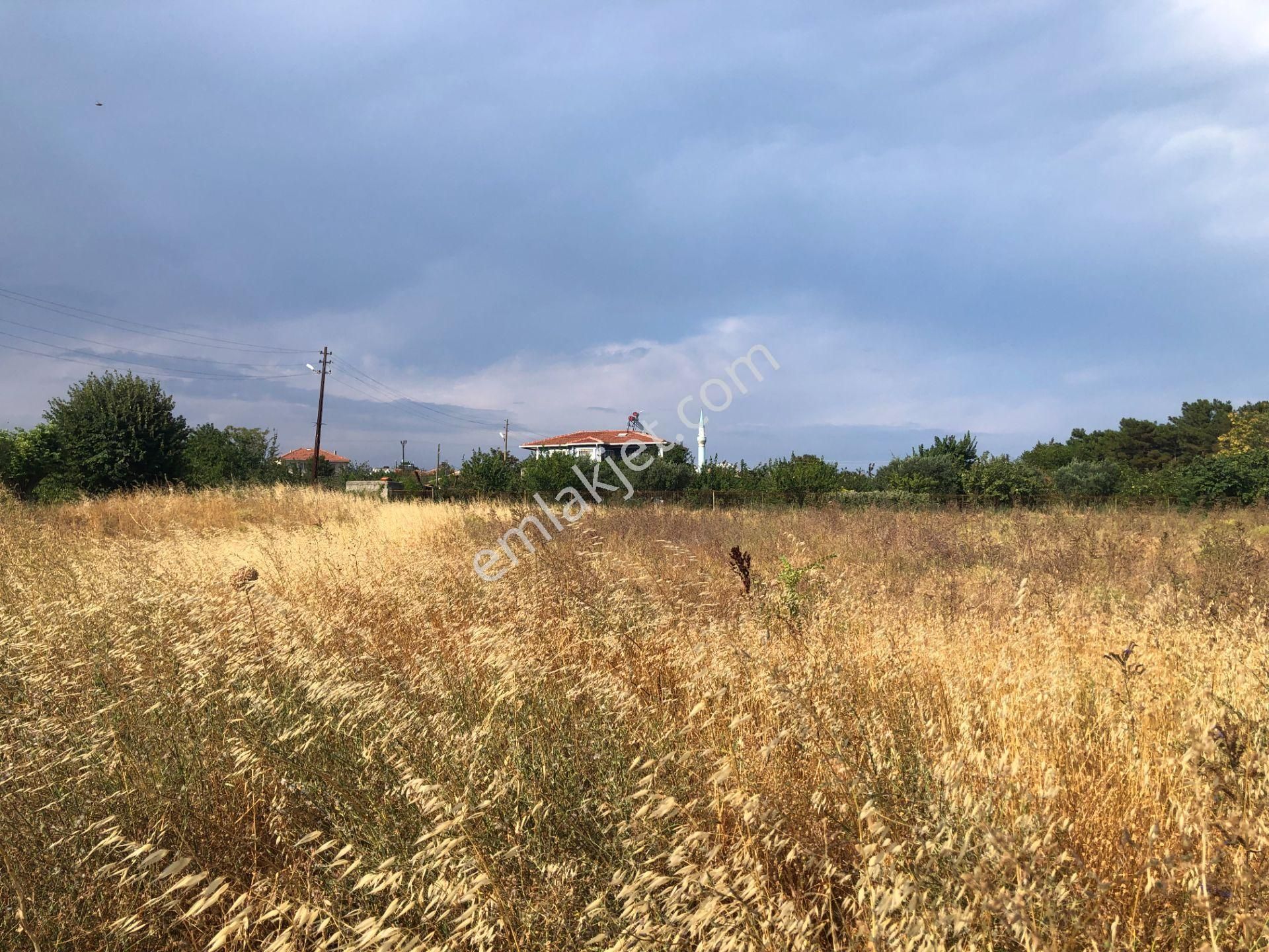 Şarköy De Işık Emlaktan Kirazlı Mah De 1500 M2 0/35 İmarlı Arsa - Görsel 3