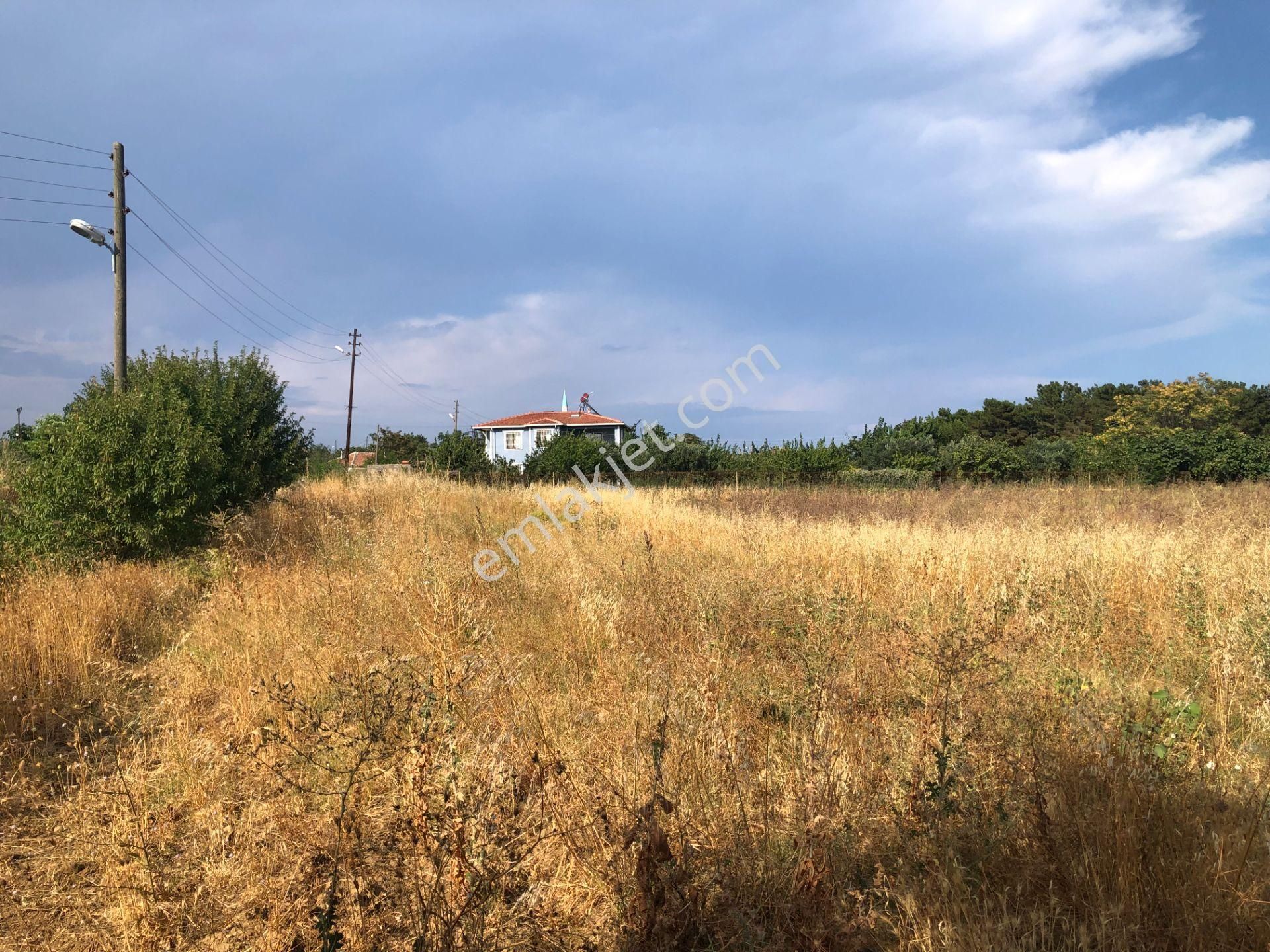 Şarköy De Işık Emlaktan Kirazlı Mah De 1500 M2 0/35 İmarlı Arsa - Görsel 11