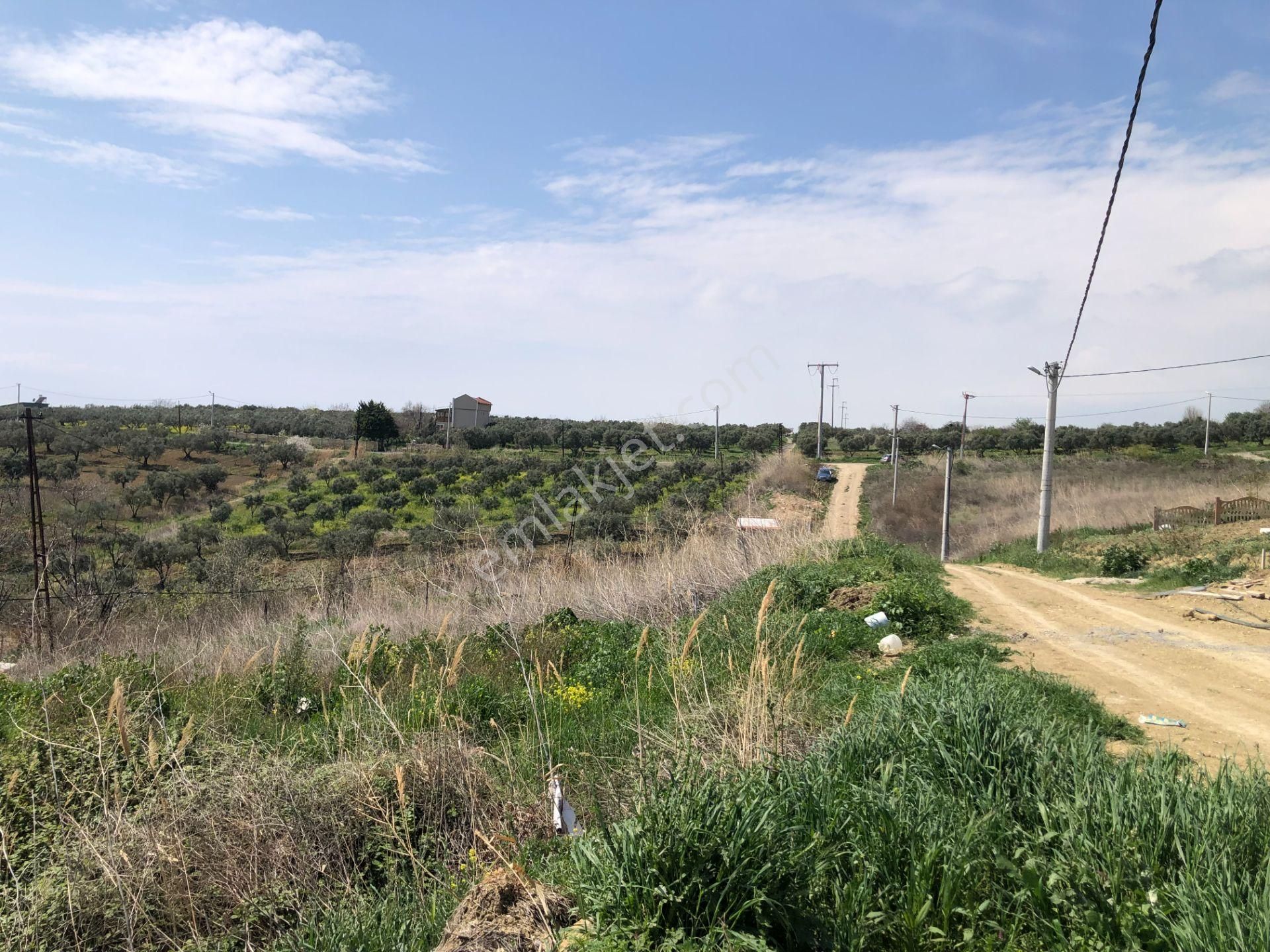 Şarköy De Işık Emlaktan İğdebağları Mah De 375 M2 0/20 İmarlı Arsa - Görsel 5