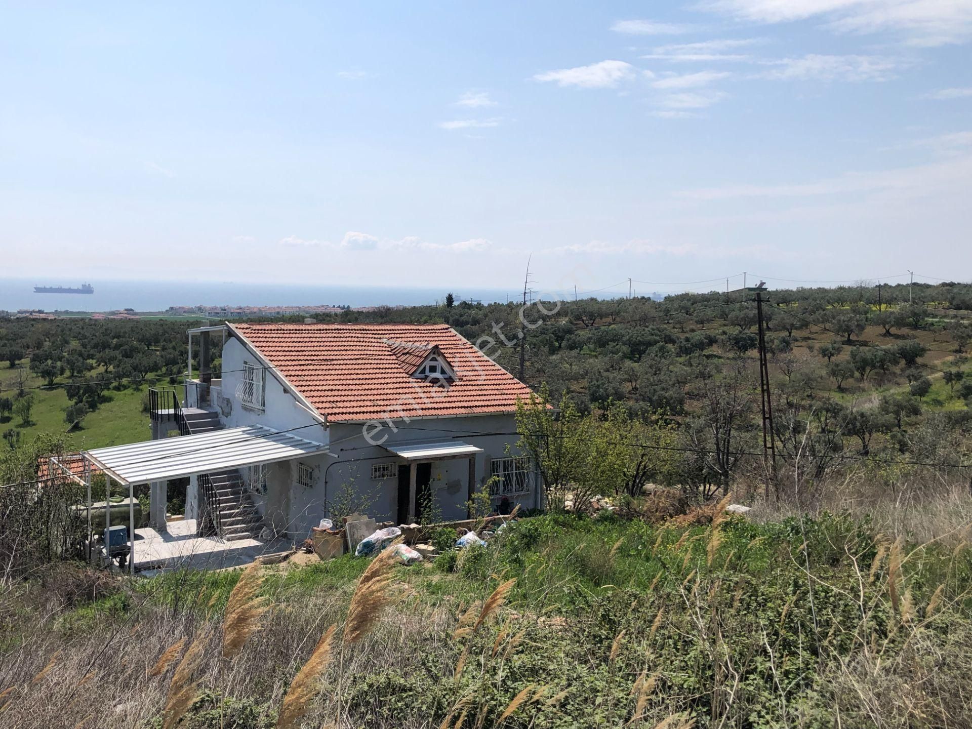 Şarköy De Işık Emlaktan İğdebağları Mah De 375 M2 0/20 İmarlı Arsa - Görsel 10