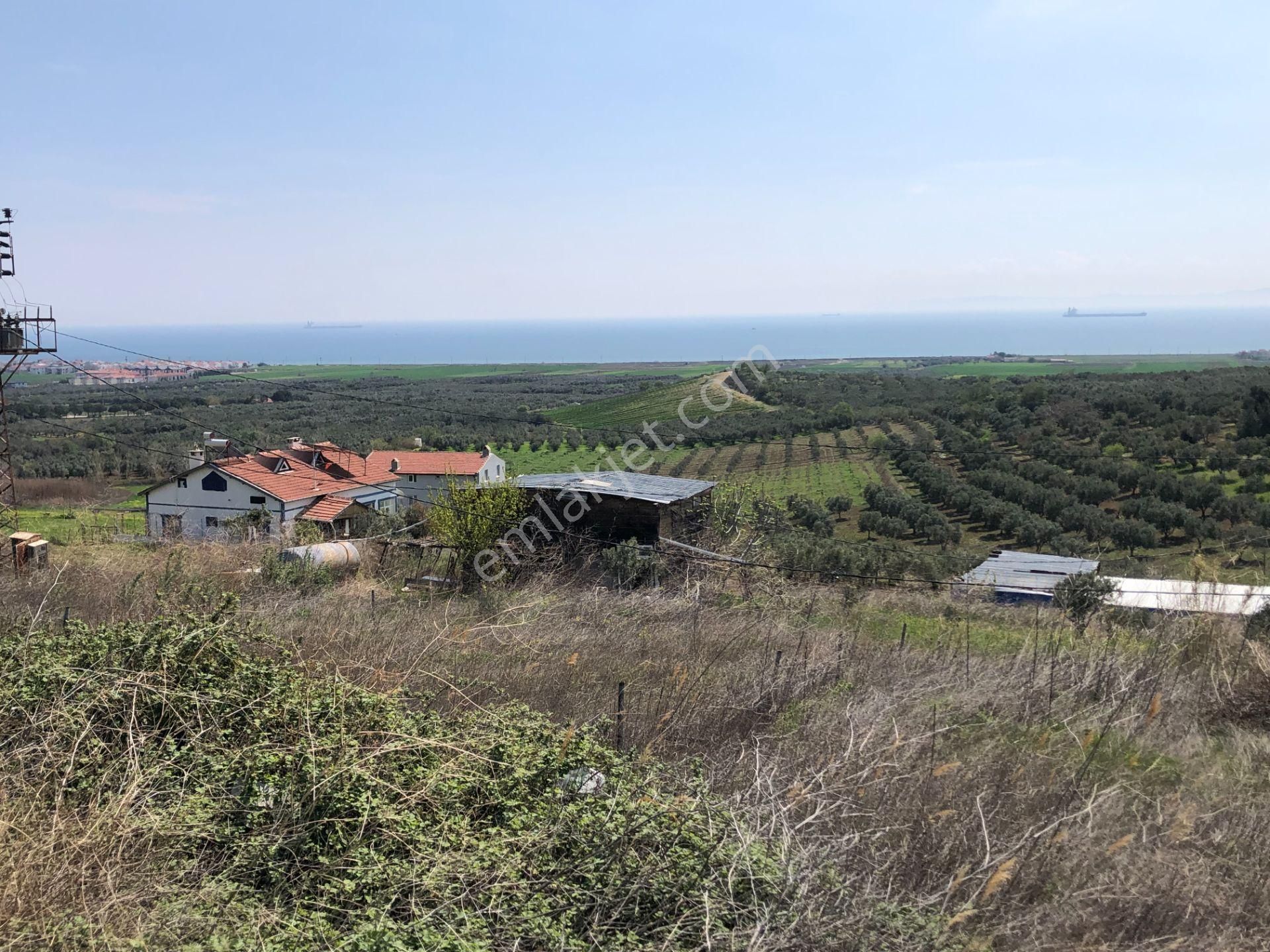 Şarköy De Işık Emlaktan İğdebağları Mah De 375 M2 0/20 İmarlı Arsa - Görsel 2