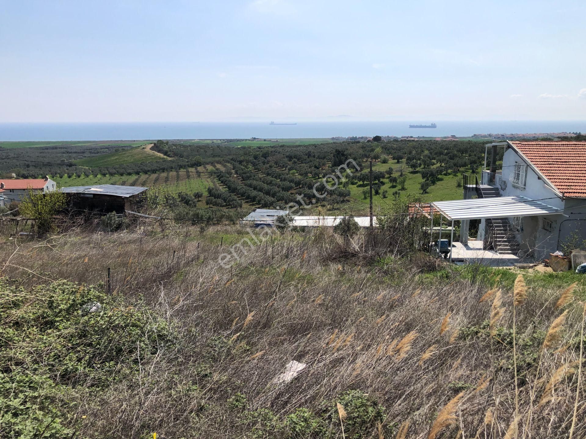 Şarköy De Işık Emlaktan İğdebağları Mah De 375 M2 0/20 İmarlı Arsa - Görsel 9