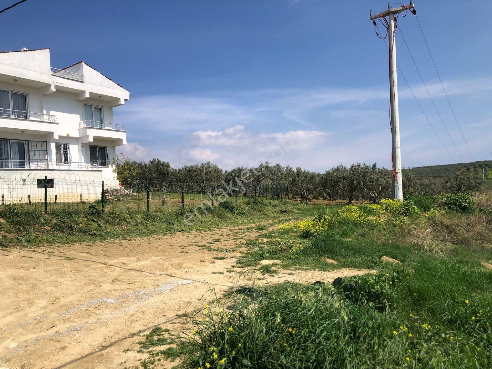 Şarköy De Işık Emlaktan İğdebağları Mah De 375 M2 0/20 İmarlı Arsa - Görsel 11