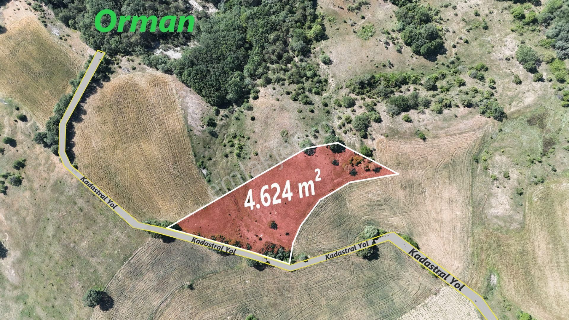 Geyve Çayköy Mah.'de 4624 M² Tarla Resmi Yola 83 Metre Cepheli