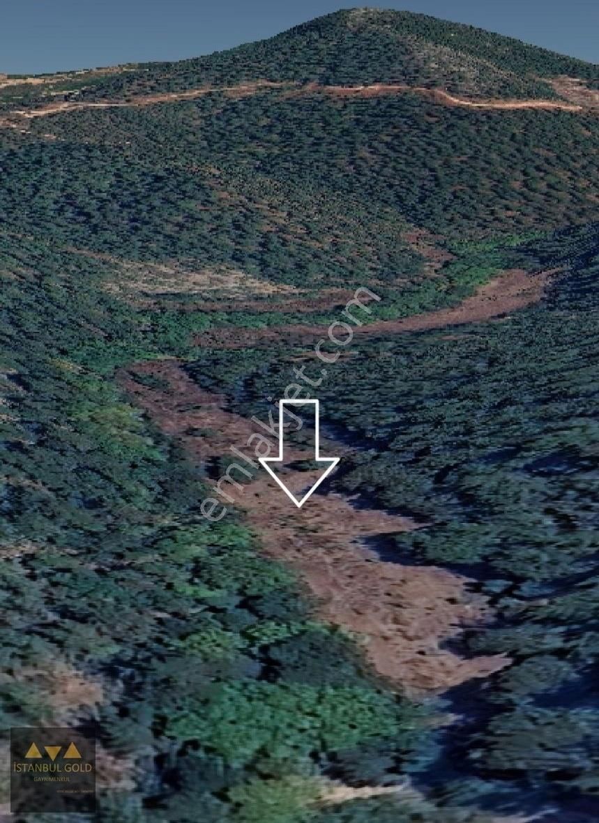 Balıkesir Dursunbey Hasanlar Mahallesi'nde 4,529m2 Kiralık Tarla