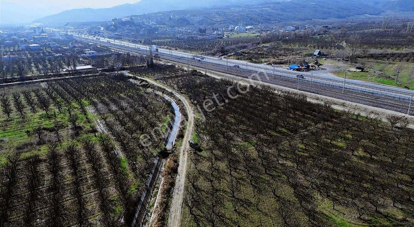 Çalım Gyo'dan Pamukova Mekece Köyünde Satılık Ayva Bahçesi - Görsel 2