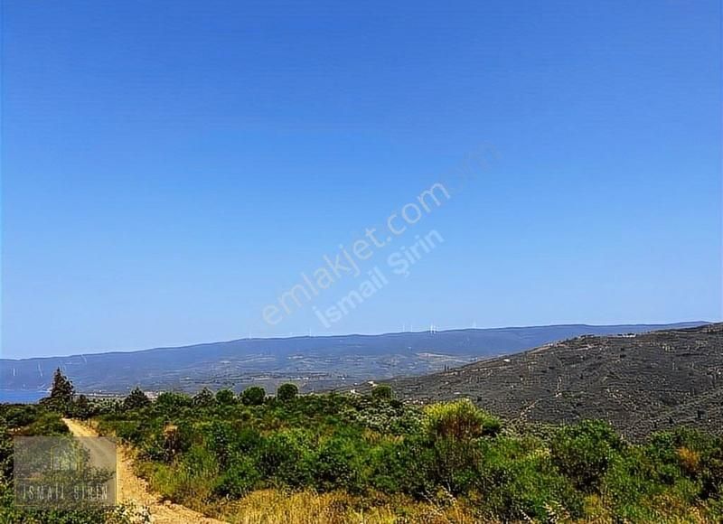 İsmailşirinden K.kumla Köyünde Muhteşem Deniz Manzaralı Tarla - Görsel 9