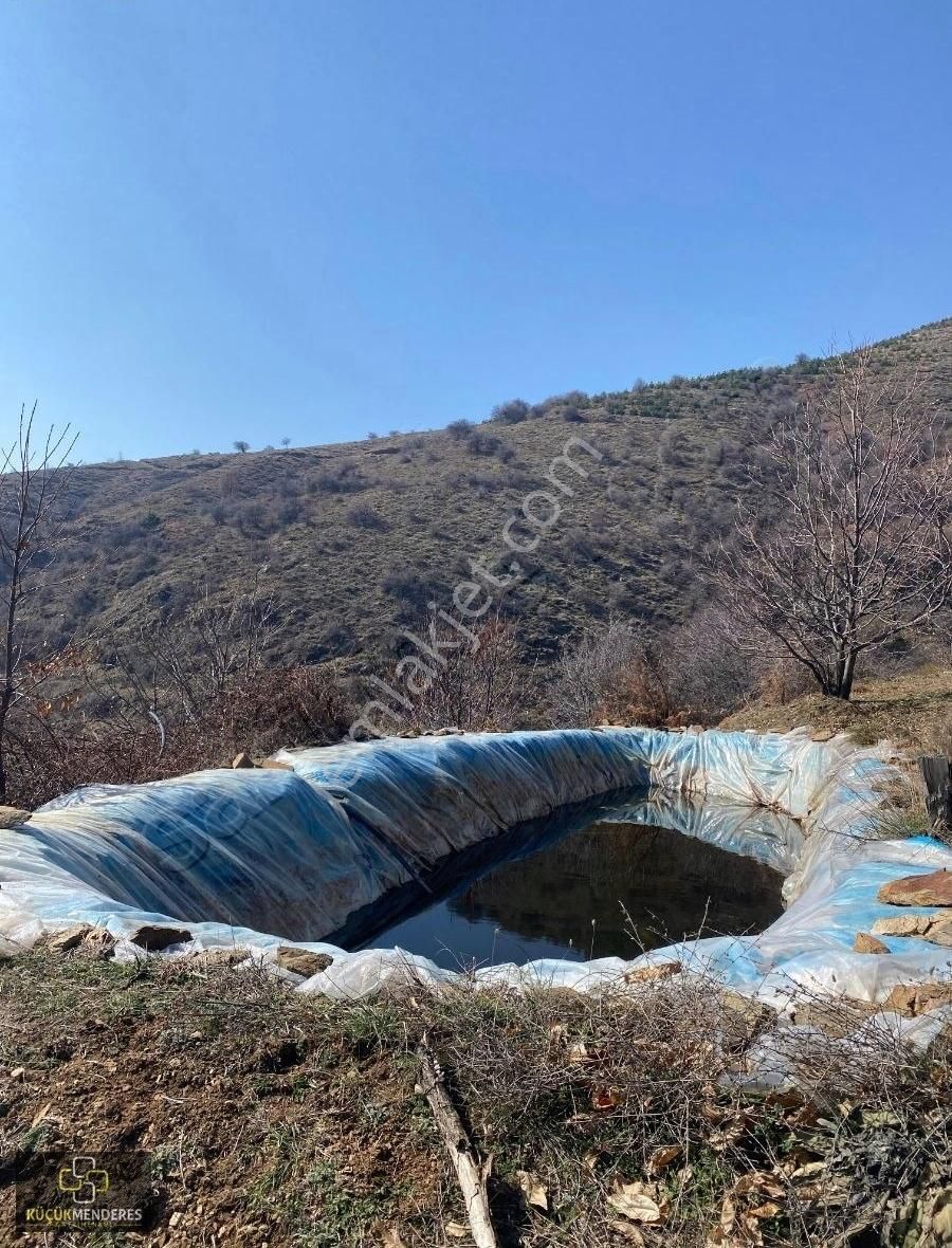 Kiraz Çatak Mahallesinde Satılık Kestanelik