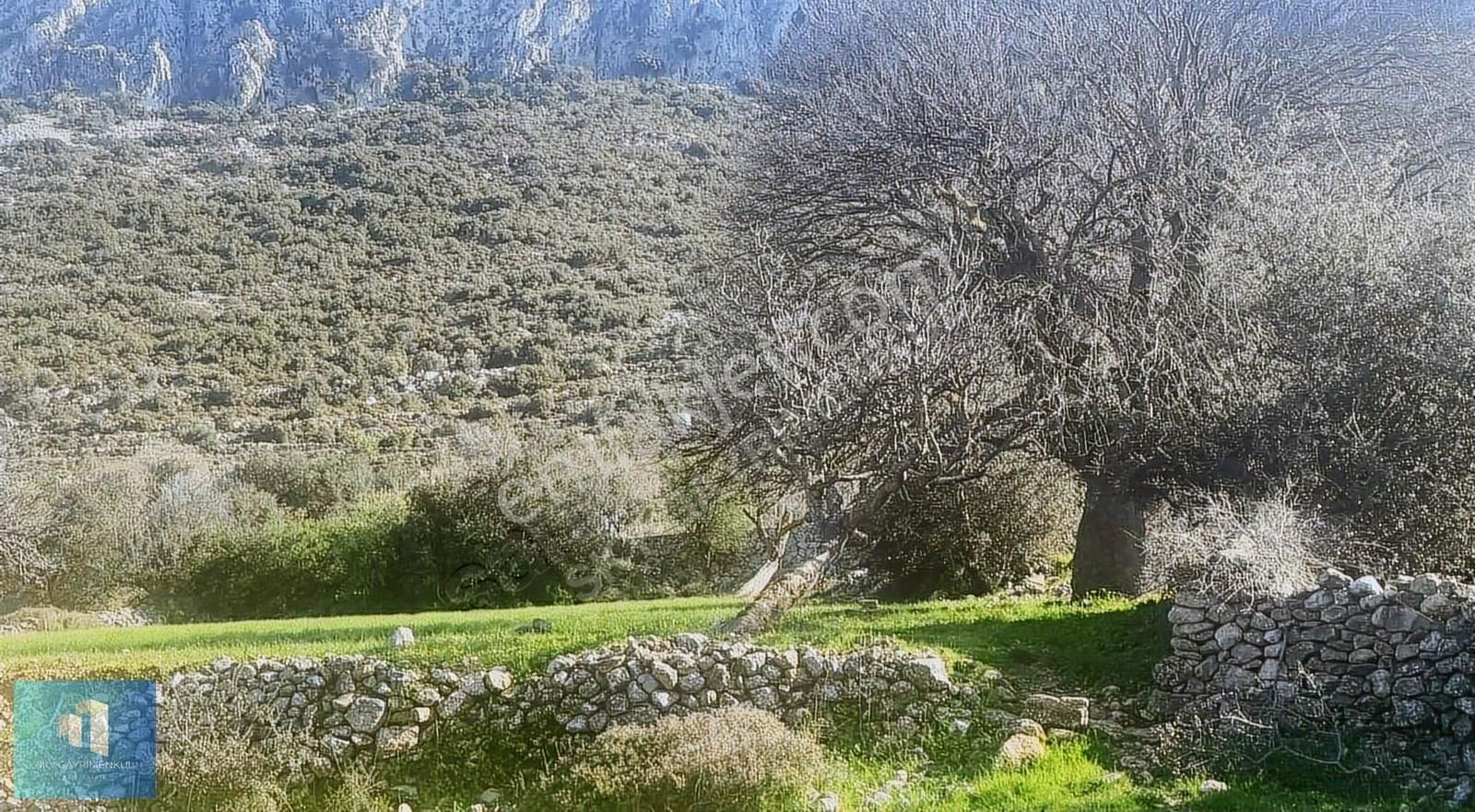 Sky'dan Marmaris Söğüt'te 1700 Metrekare Tarla - Görsel 4