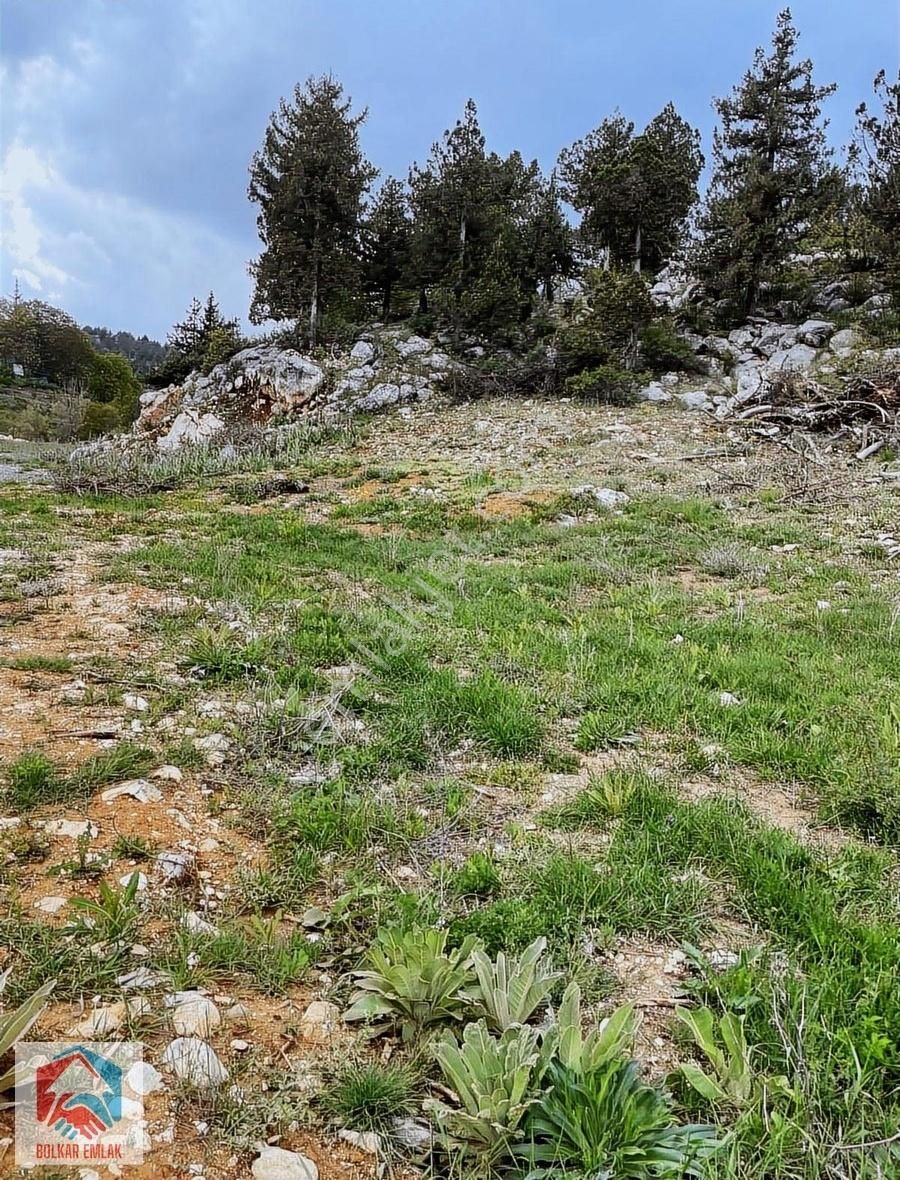Arslanköy Demirışık Mevkiinde Çiftlik Yapımına Uygun Arazi - Görsel 2