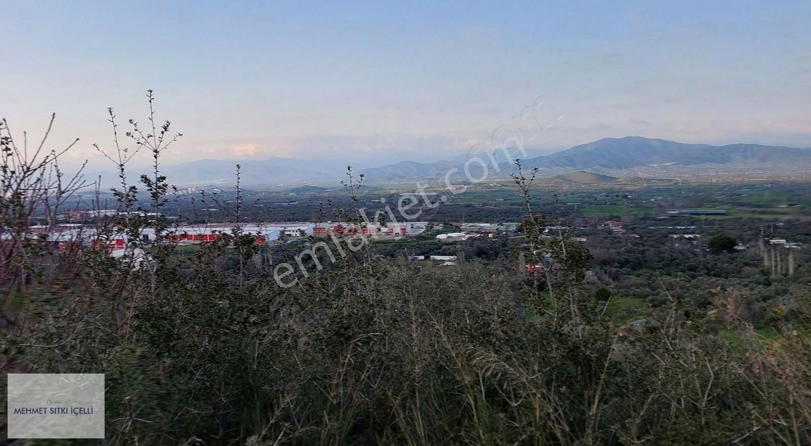 Tire Ye 1 Km Mesefade Zeytinlik!!! - Görsel 5