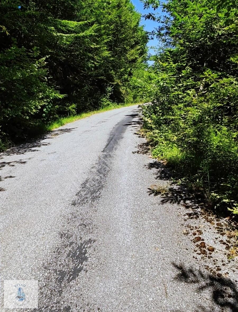 Başiskele Parsık Mahallesinde Yol Kenarı Arazi