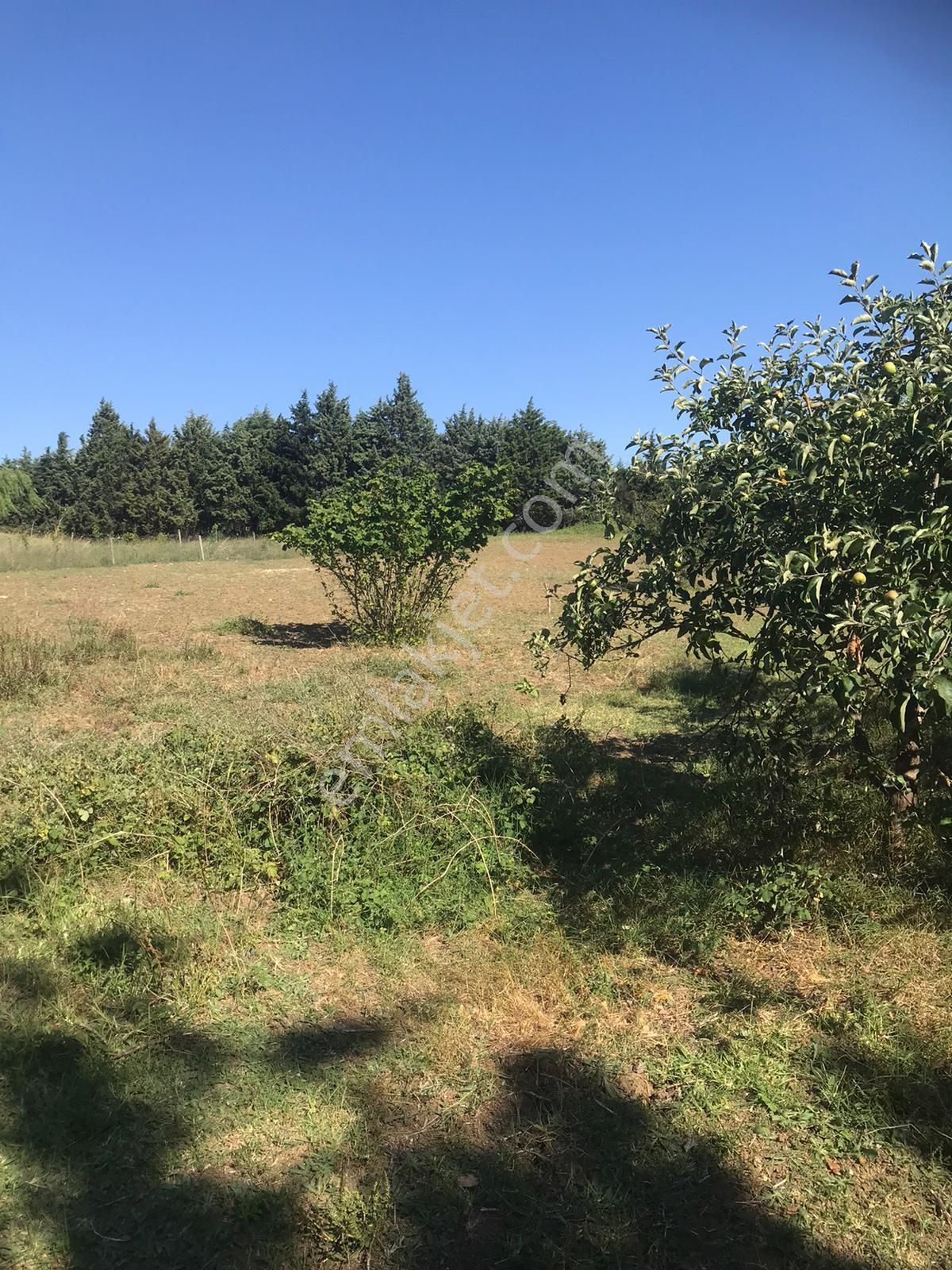 Silivri Akörende Doğa Harikası 13650m2 10+1 Havuzlu Villa - Görsel 24