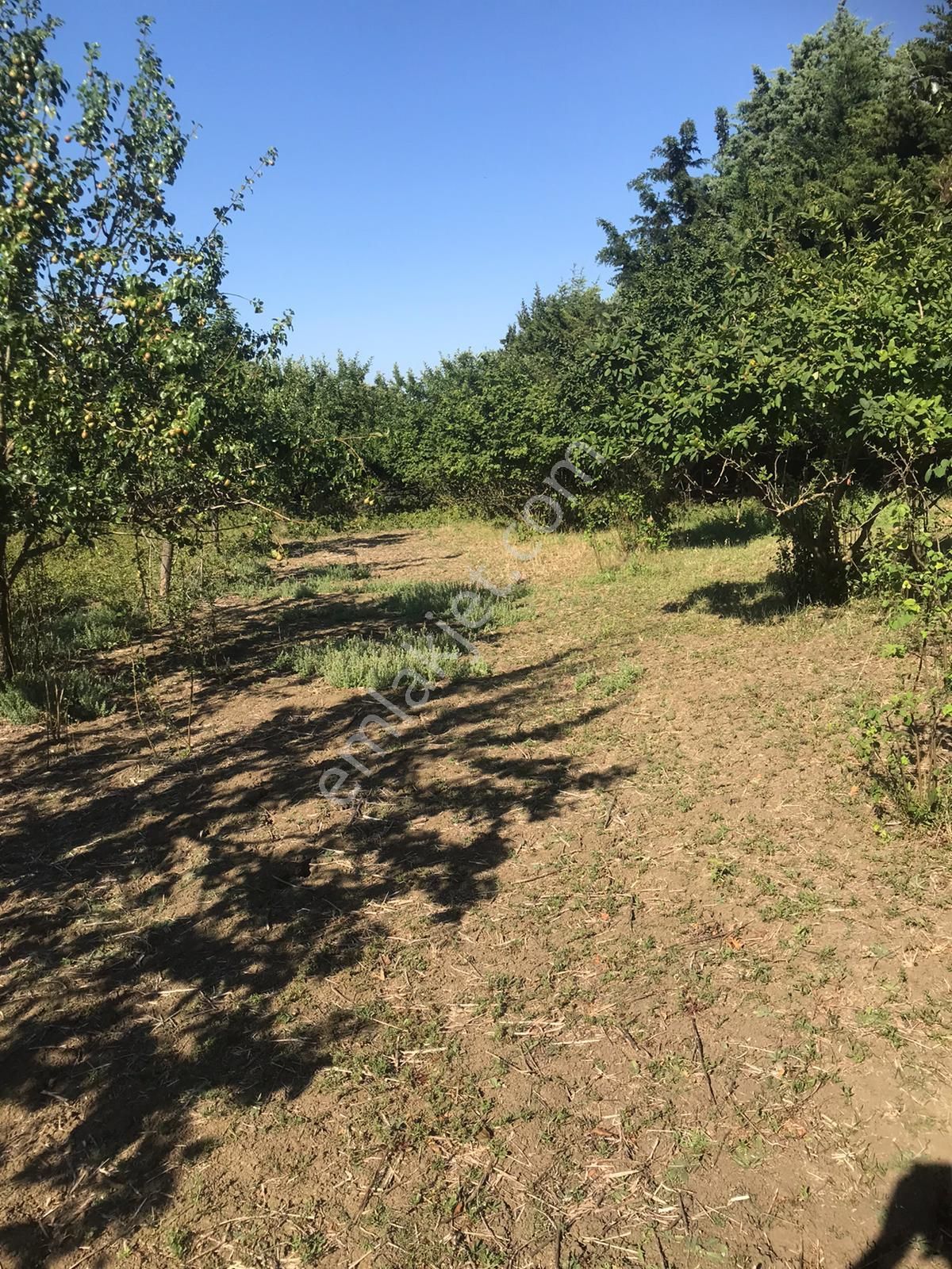 Silivri Akörende Doğa Harikası 13650m2 10+1 Havuzlu Villa - Görsel 13