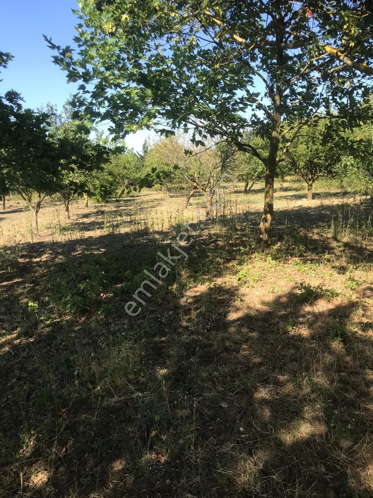 Silivri Akörende Doğa Harikası 13650m2 10+1 Havuzlu Villa - Görsel 32