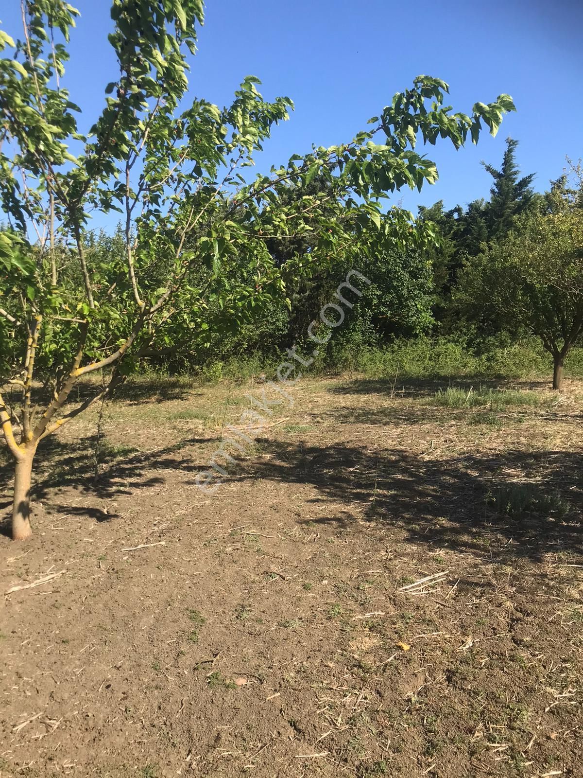 Silivri Akörende Doğa Harikası 13650m2 10+1 Havuzlu Villa - Görsel 17
