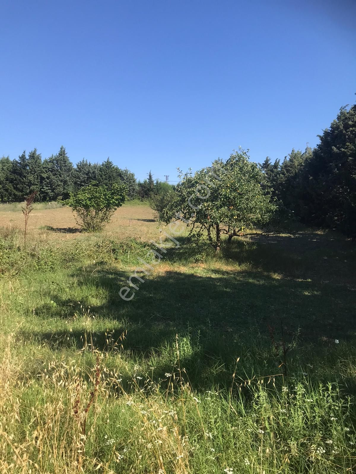 Silivri Akörende Doğa Harikası 13650m2 10+1 Havuzlu Villa - Görsel 21