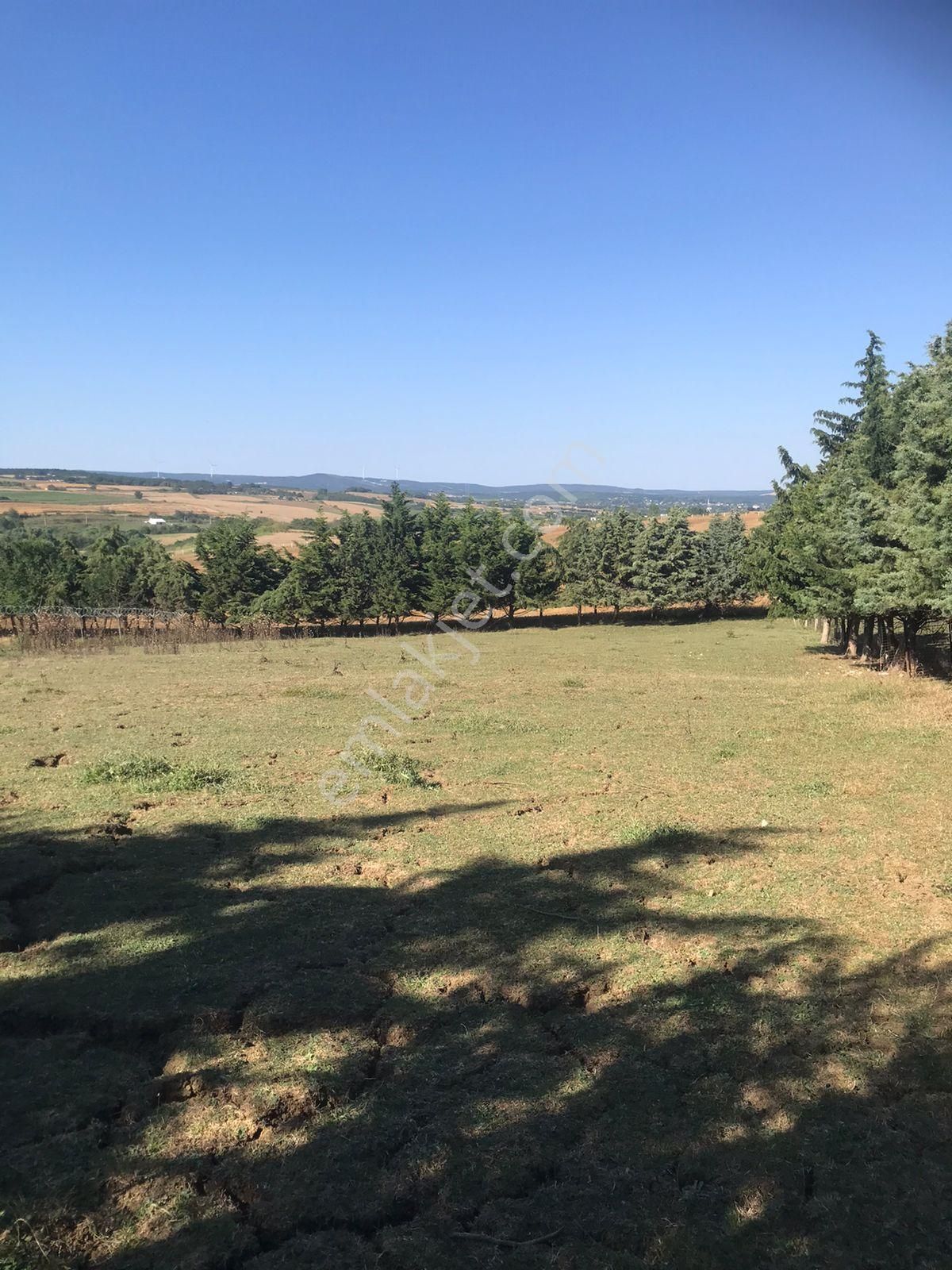 Silivri Akörende Doğa Harikası 13650m2 10+1 Havuzlu Villa - Görsel 11