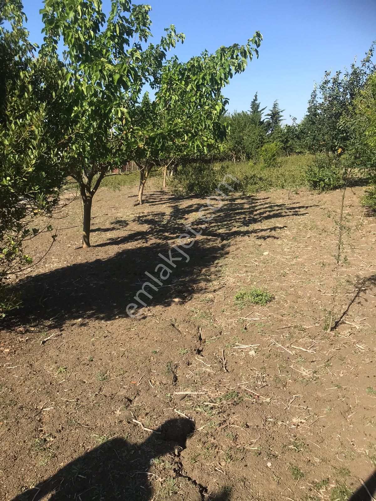 Silivri Akörende Doğa Harikası 13650m2 10+1 Havuzlu Villa - Görsel 15