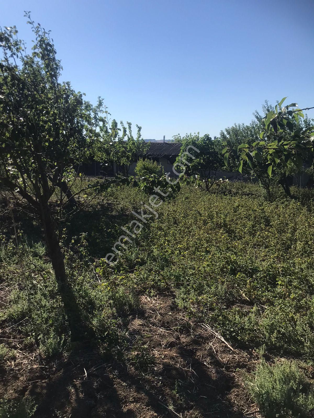 Silivri Akörende Doğa Harikası 13650m2 10+1 Havuzlu Villa - Görsel 10