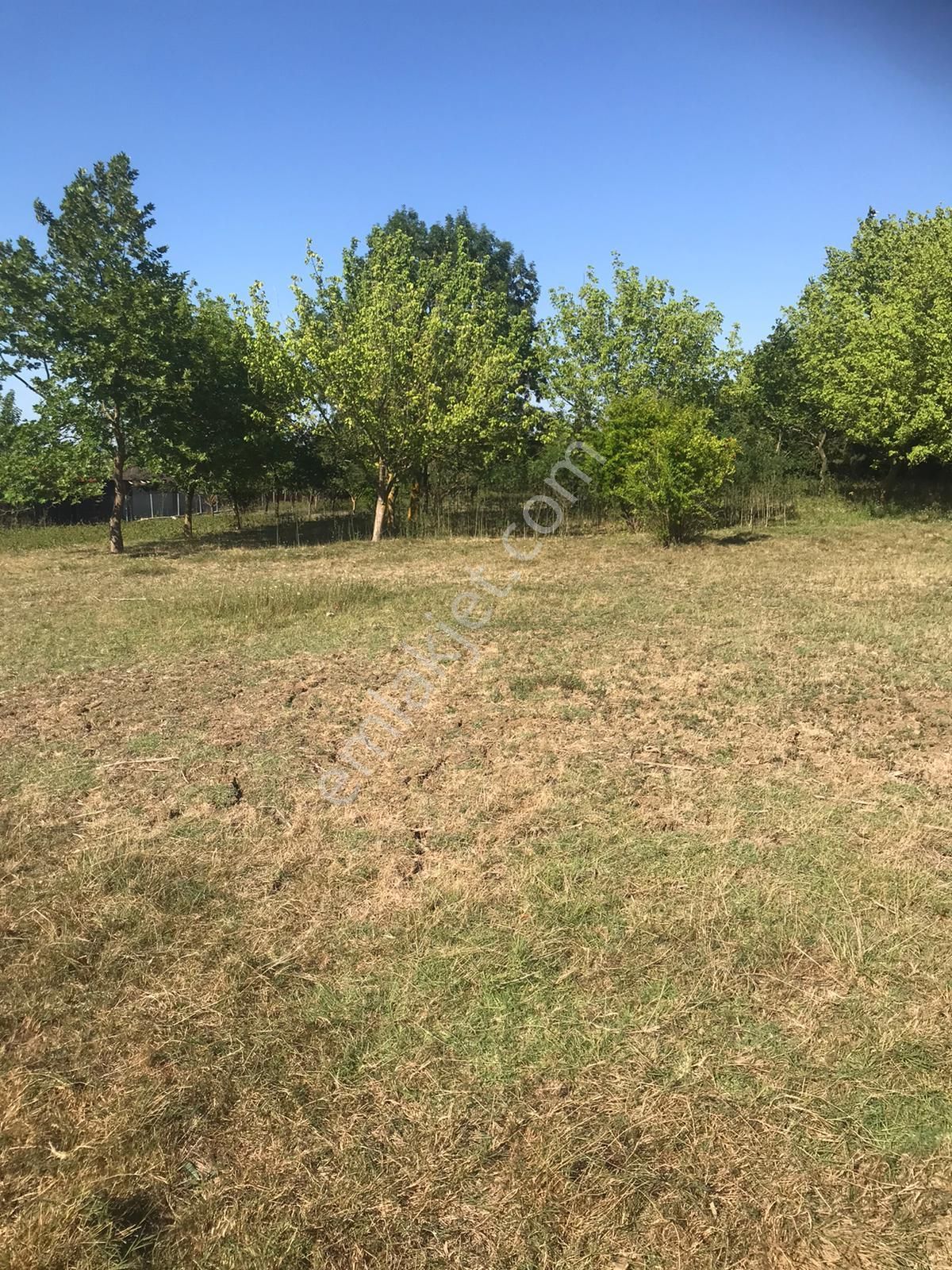 Silivri Akörende Doğa Harikası 13650m2 10+1 Havuzlu Villa - Görsel 30