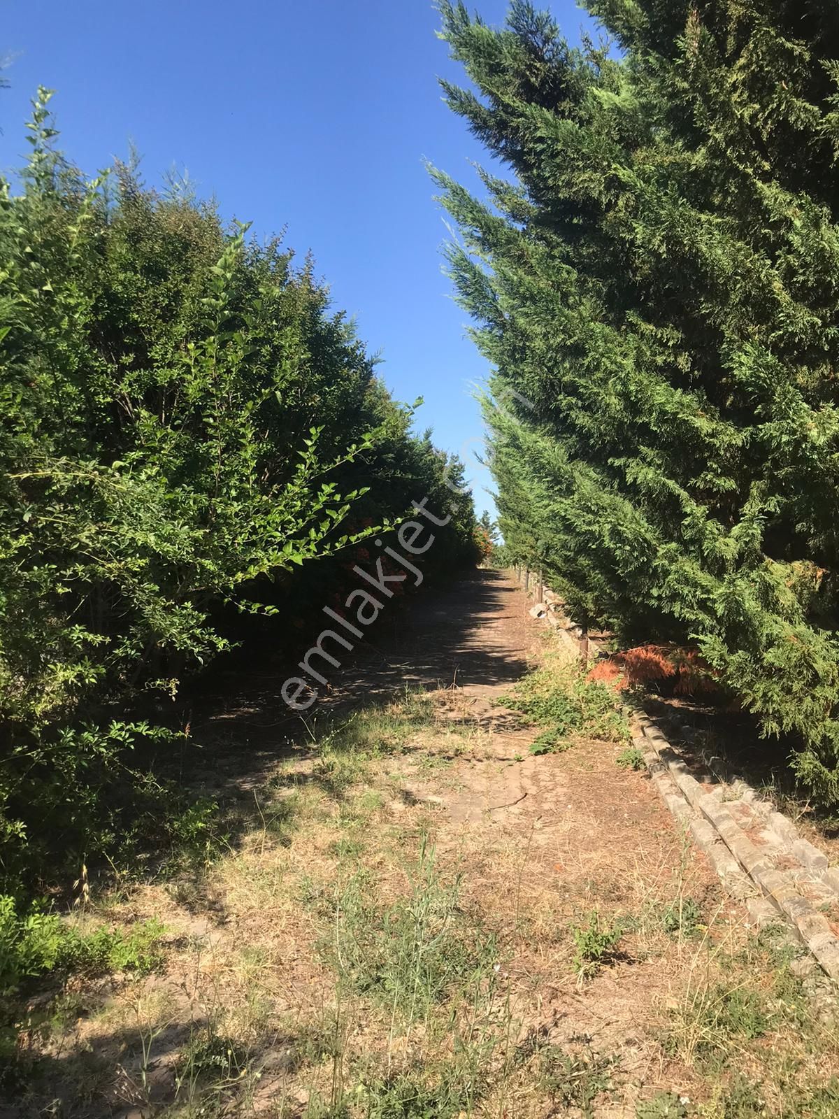 Silivri Akörende Doğa Harikası 13650m2 10+1 Havuzlu Villa - Görsel 22
