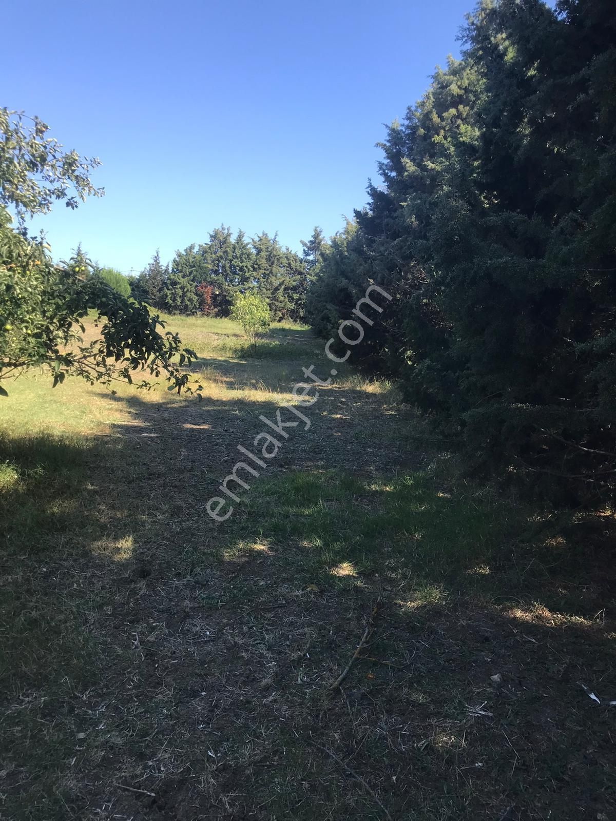 Silivri Akörende Doğa Harikası 13650m2 10+1 Havuzlu Villa - Görsel 25