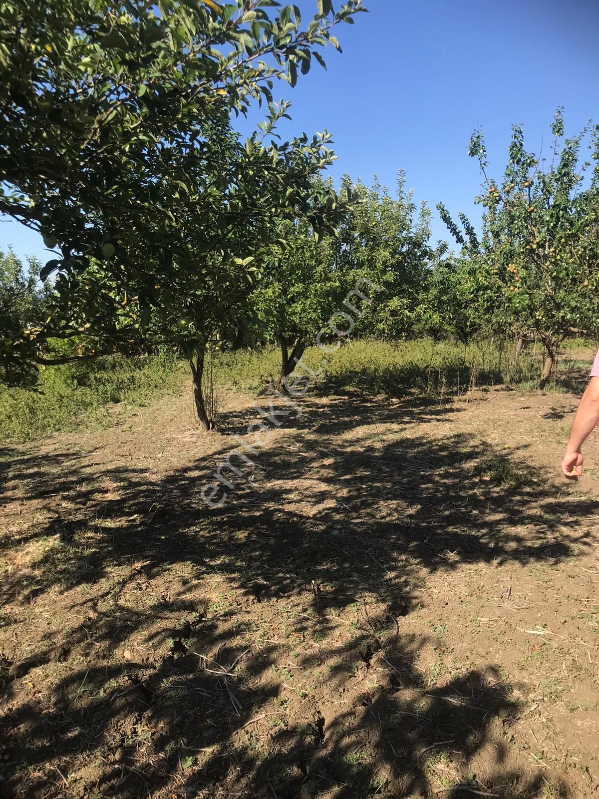Silivri Akörende Doğa Harikası 13650m2 10+1 Havuzlu Villa - Görsel 14