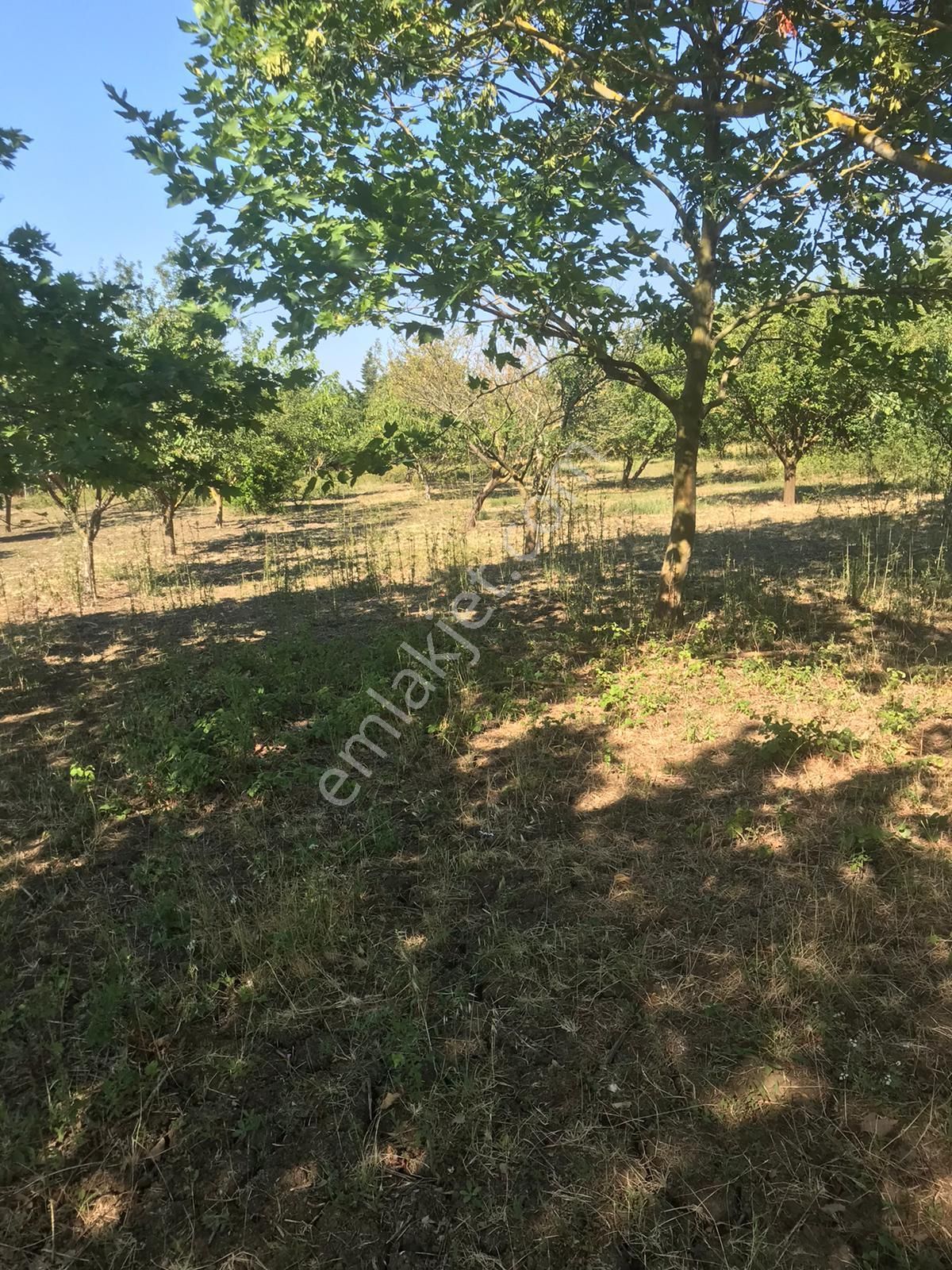 Silivri Akörende Doğa Harikası 13650m2 10+1 Havuzlu Villa - Görsel 20