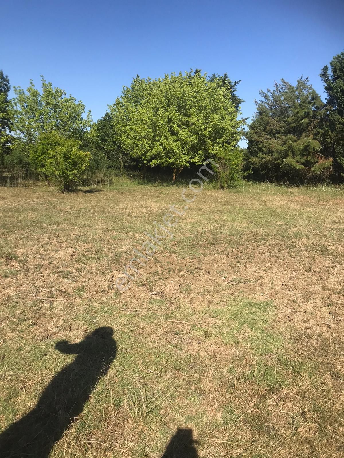 Silivri Akörende Doğa Harikası 13650m2 10+1 Havuzlu Villa - Görsel 31