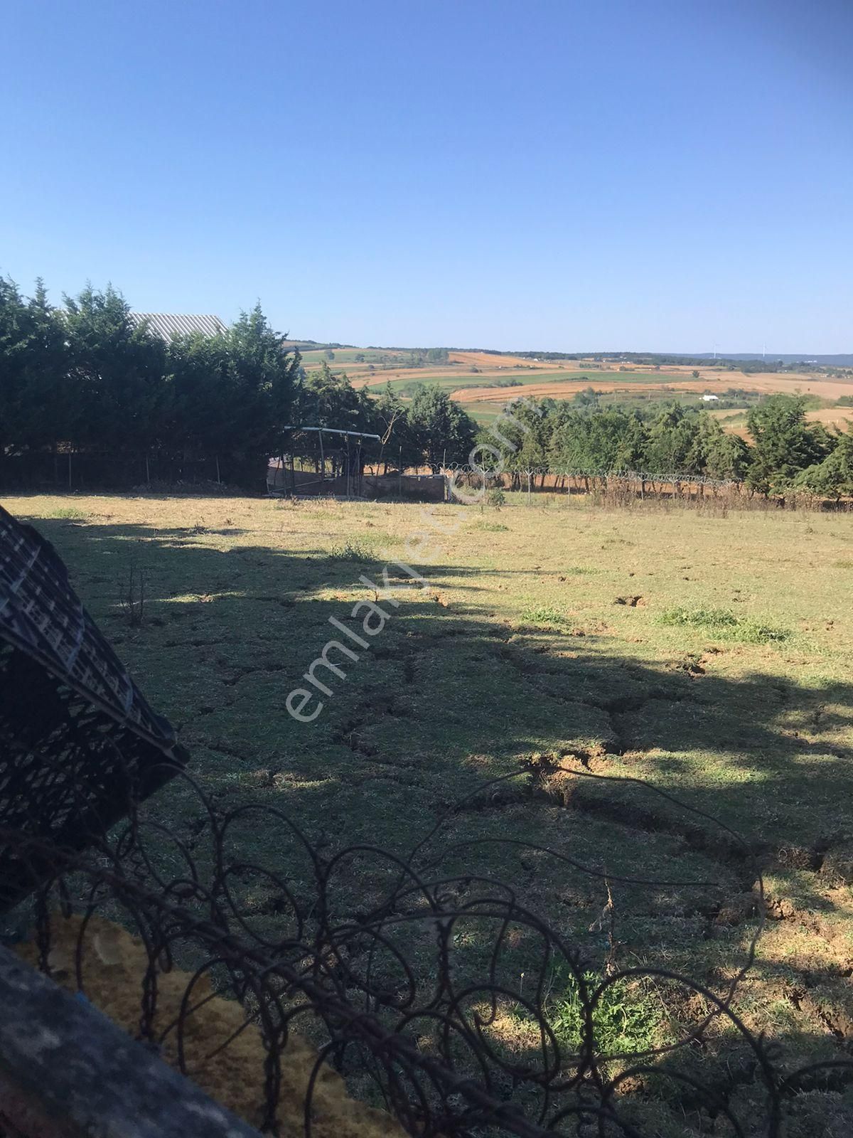Silivri Akörende Doğa Harikası 13650m2 10+1 Havuzlu Villa - Görsel 12